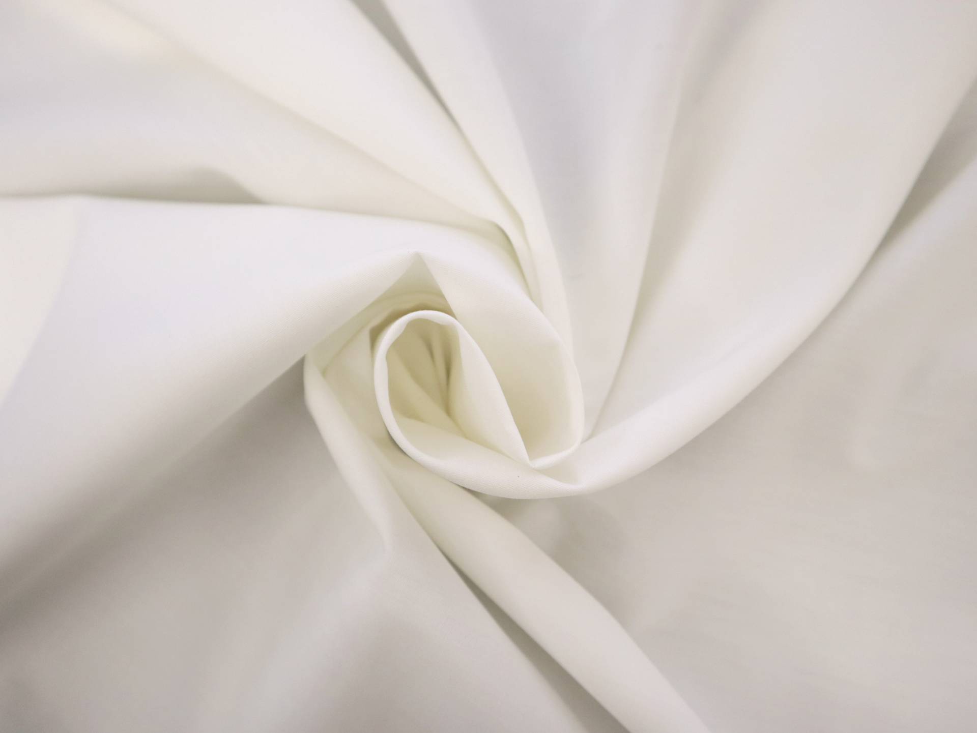 Pima Cotton Poplin in Ivory