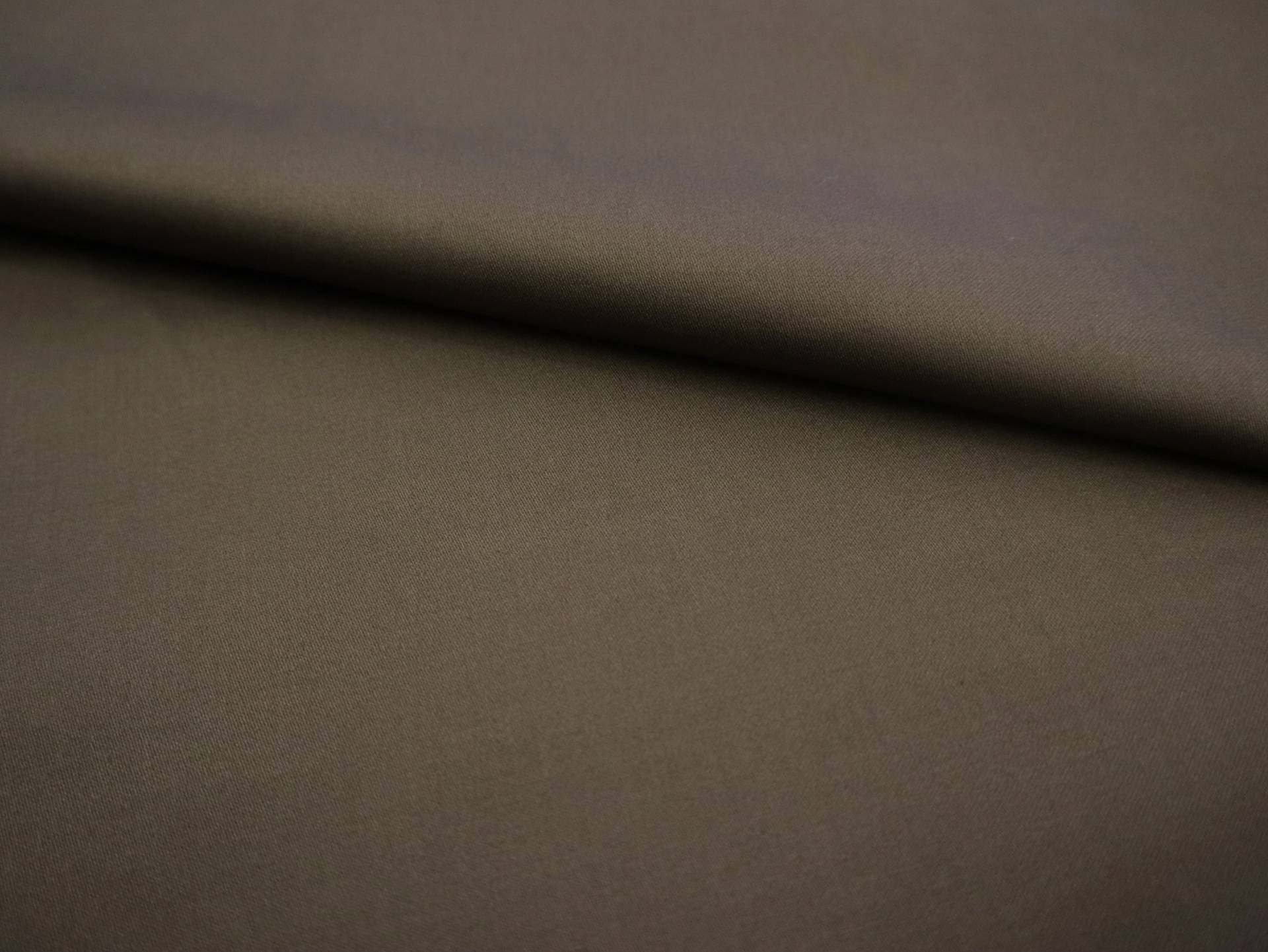 Cotton Sateen in Olive