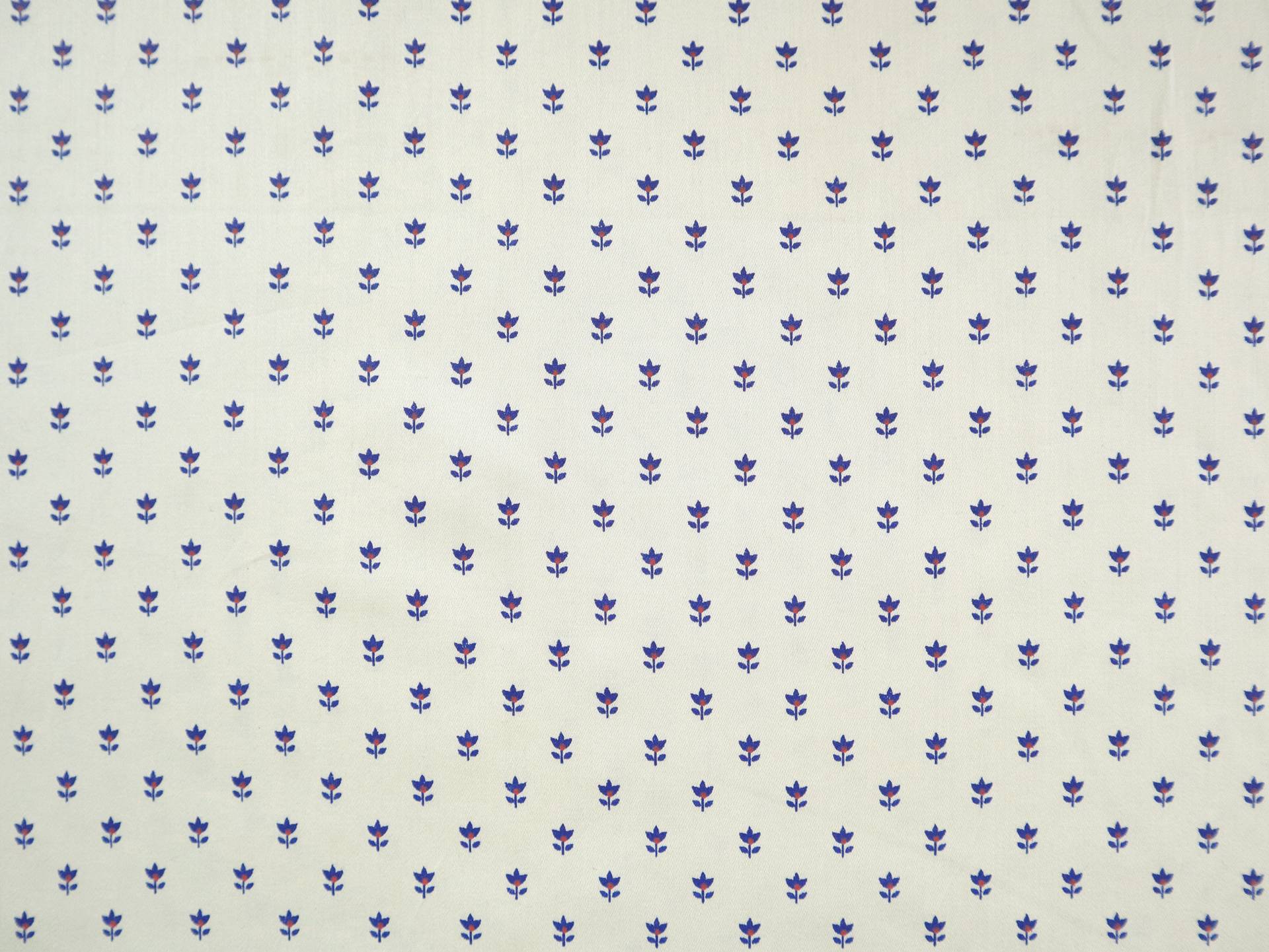 Giza Cotton Sateen with Petite Floral Print