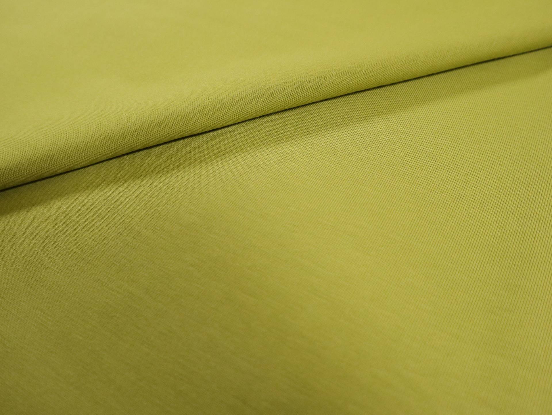 Cotton Spandex Jersey in Bonsai