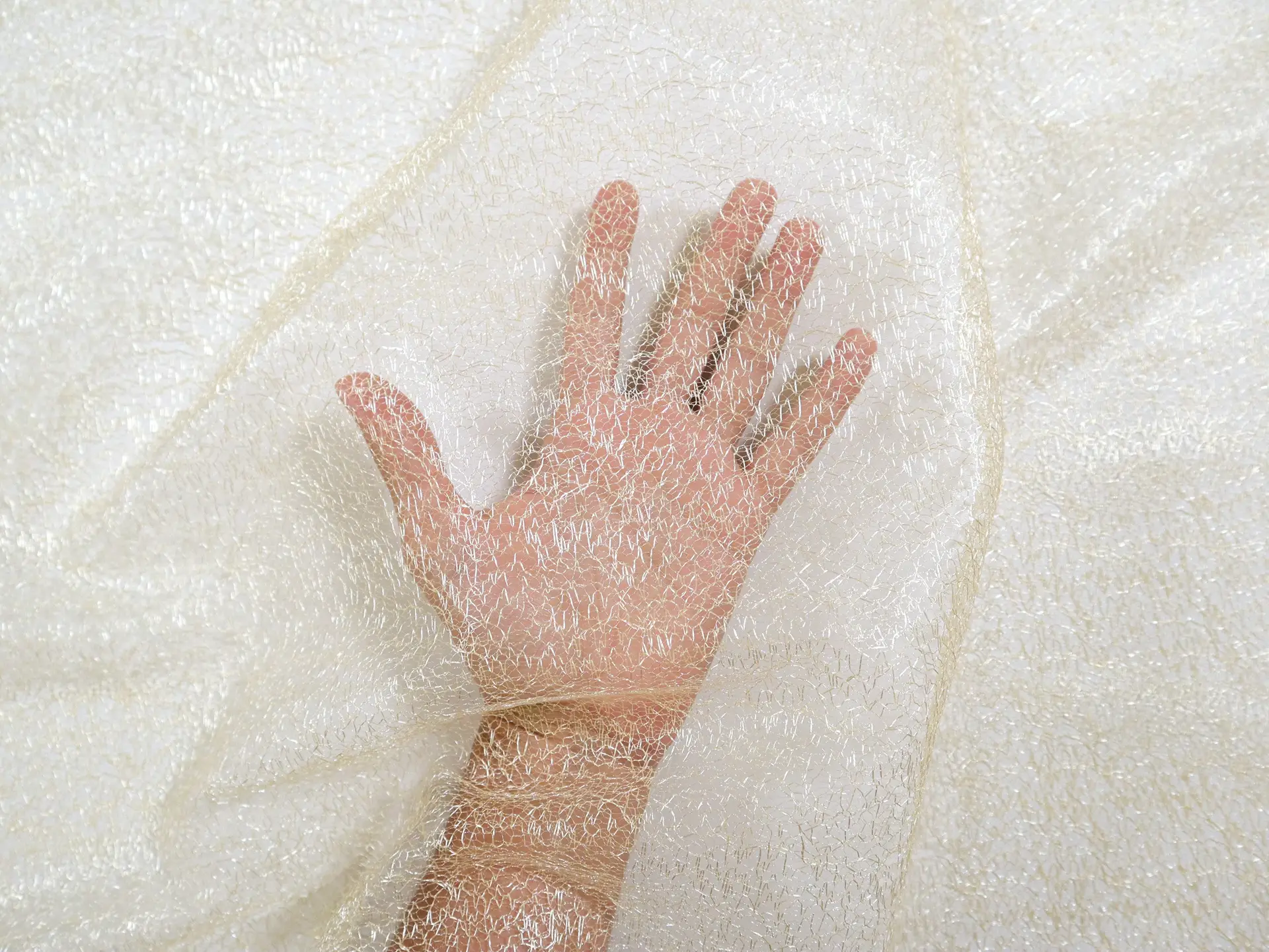Metallic Novelty Tulle in Cream
