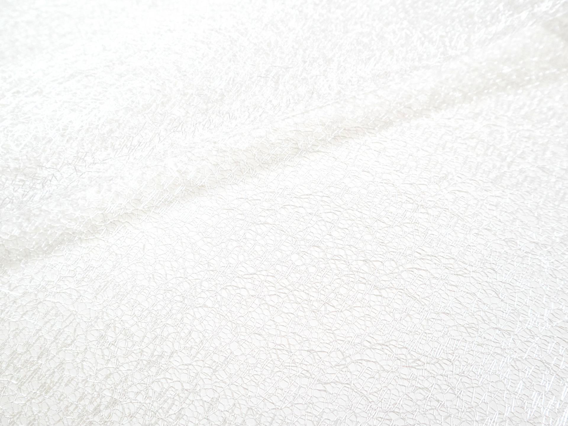 Metallic Novelty Tulle in Off White