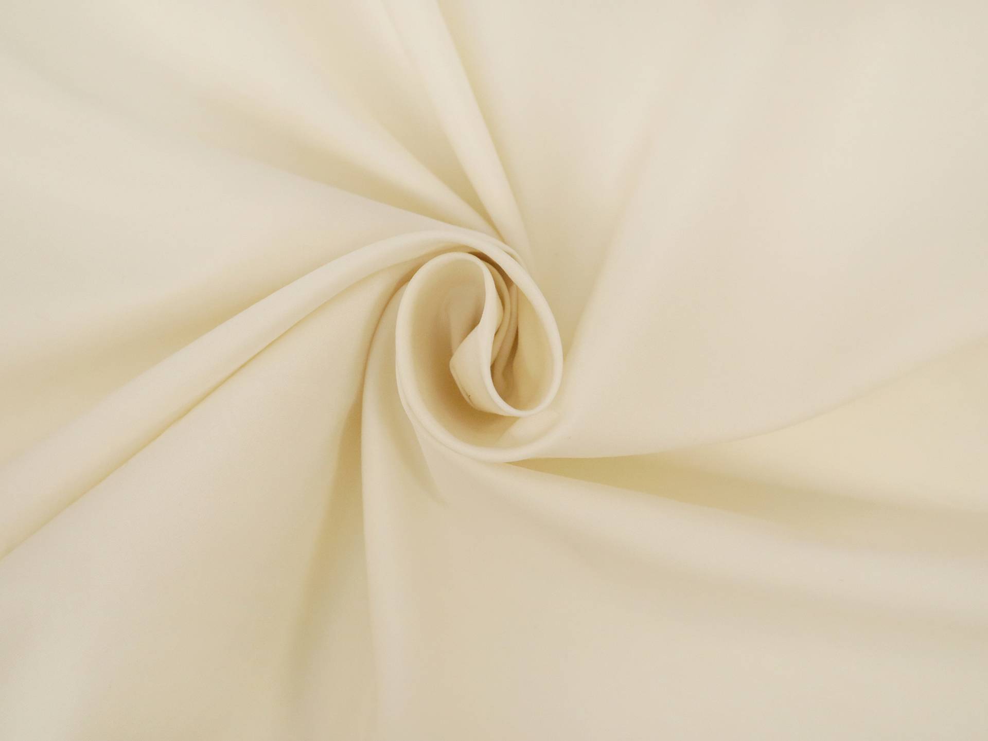 Pima Cotton Broadcloth in Cream
