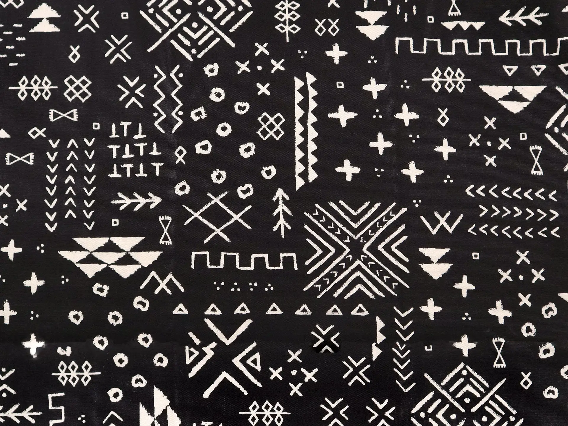 Cotton Canvas Print in Black & Ivory