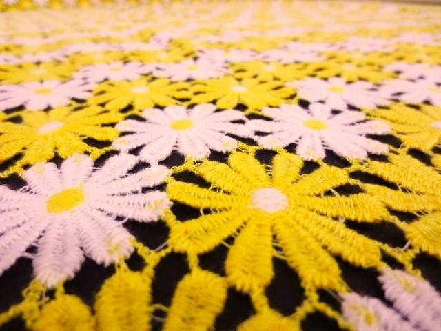 Guipure Lace 1