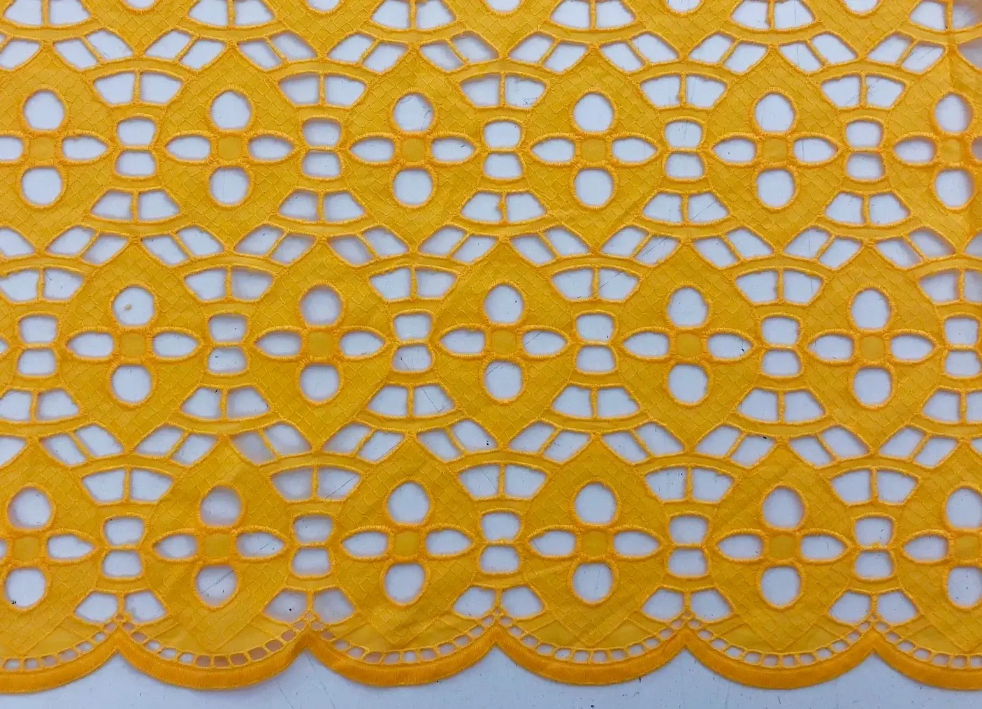 Marigold1