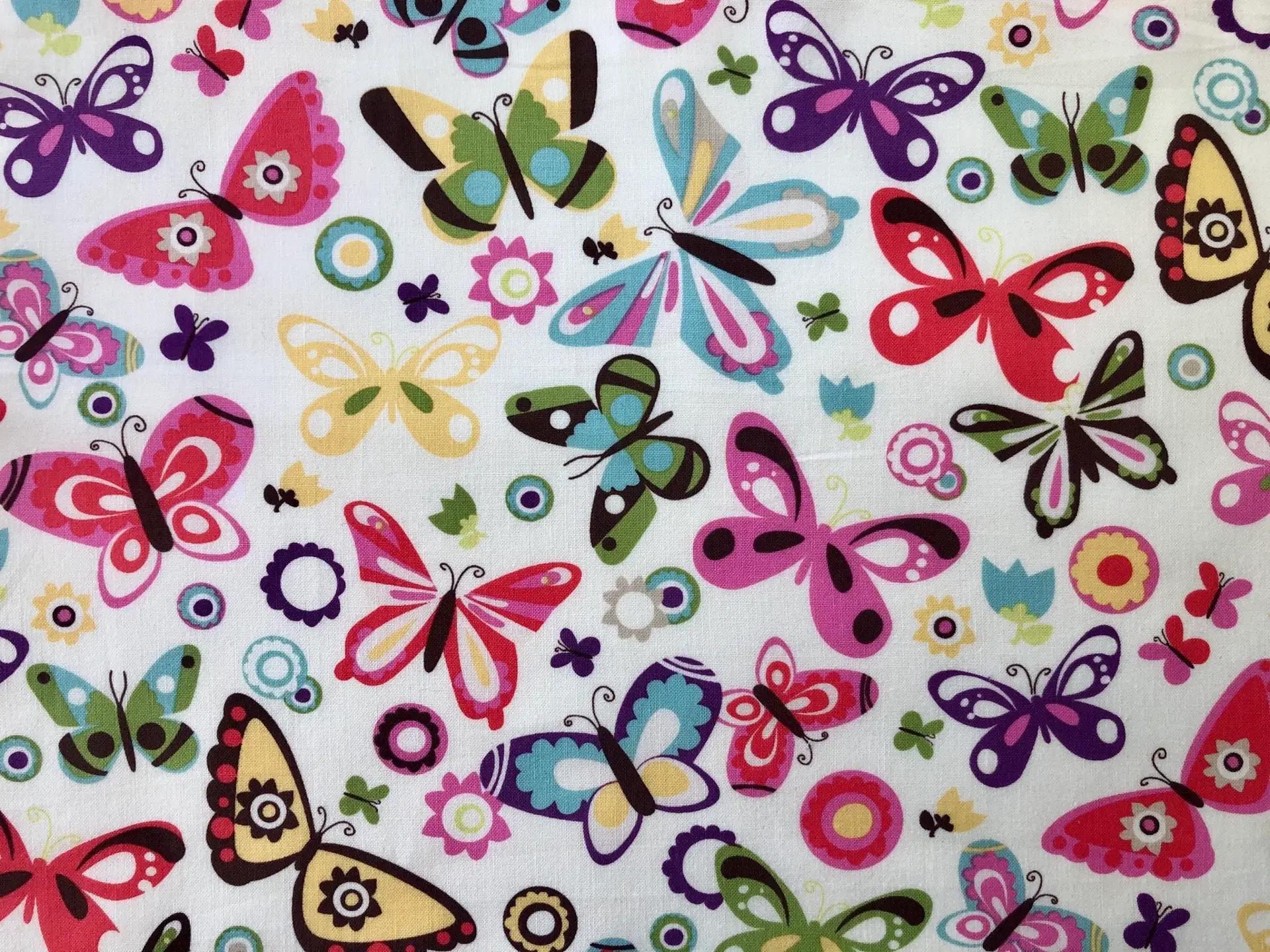 Cotton Broadcloth Butterfly Print