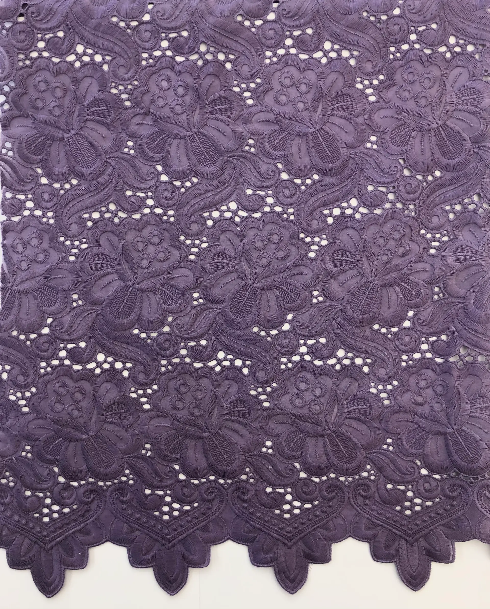 Viola1