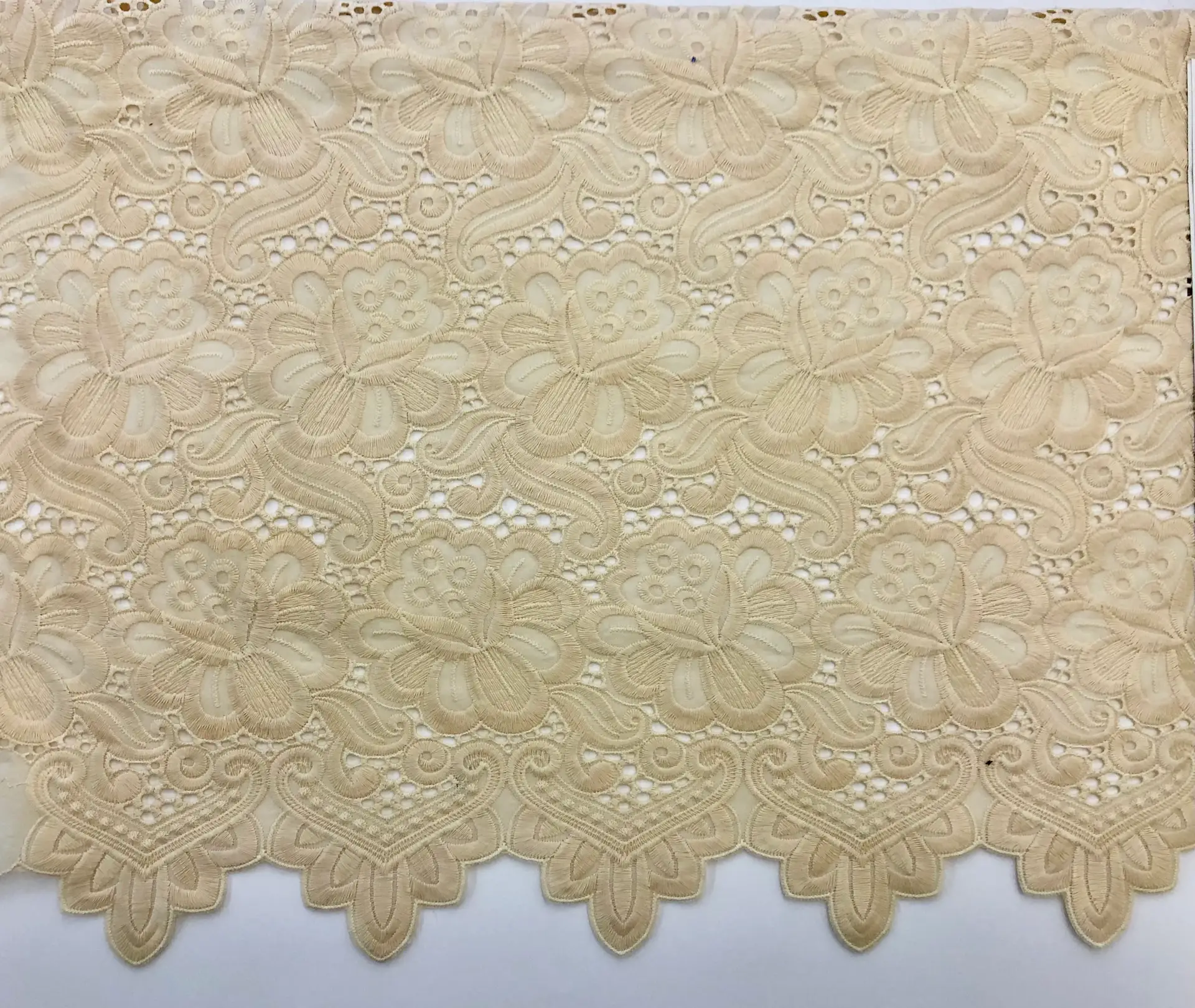 Ivory1