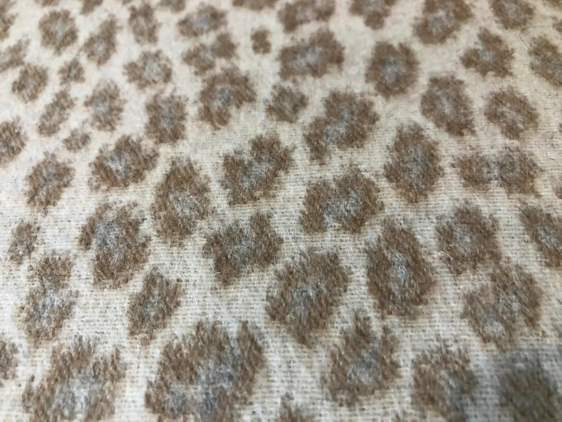 Animal2
