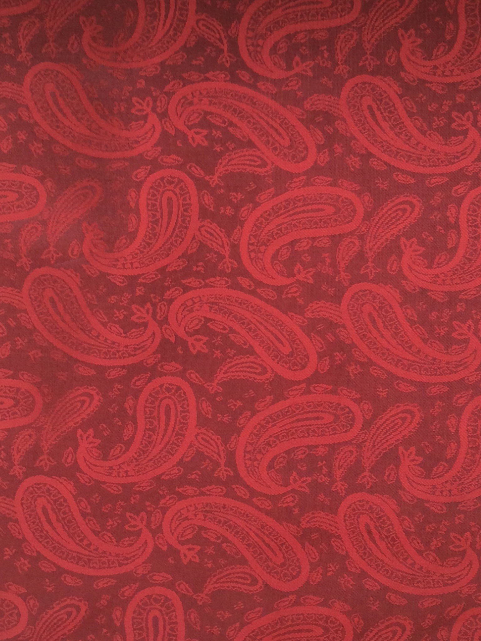 Novelty Jacquard Lining in Burgundy w/ Paisleys