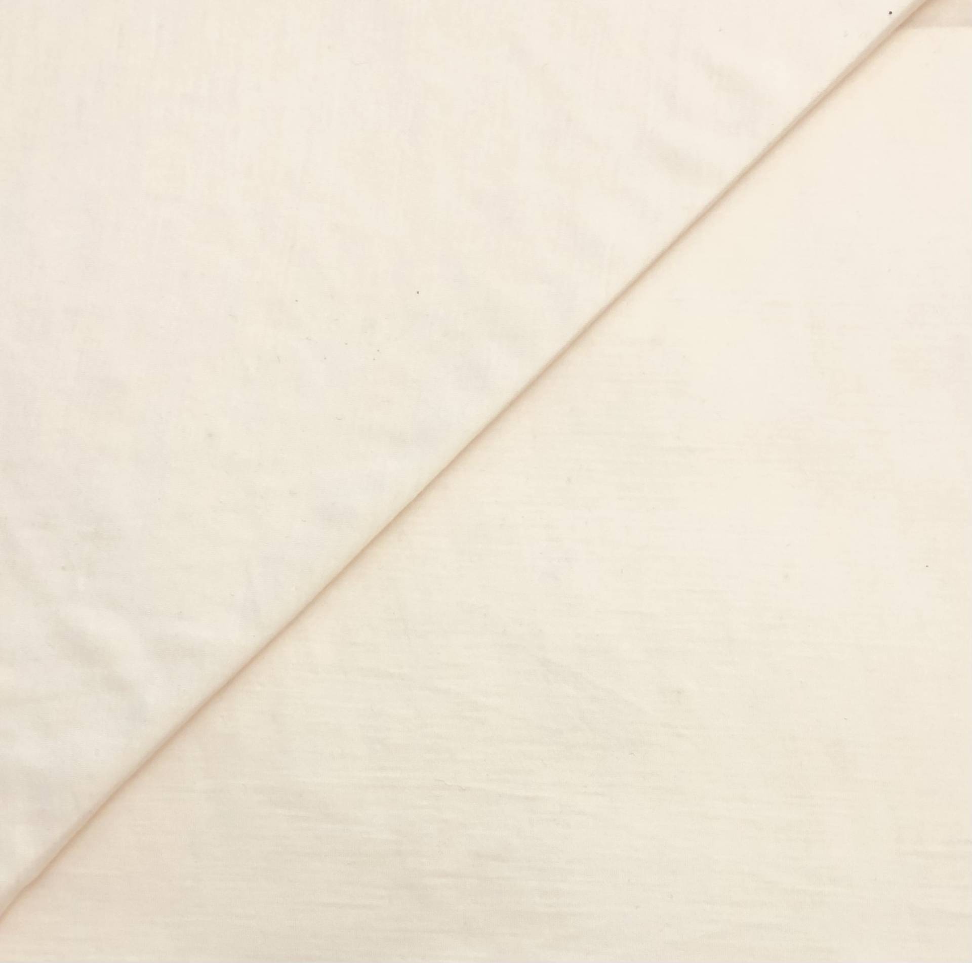 Super Fine Merino Wool Jersey in Vanilla