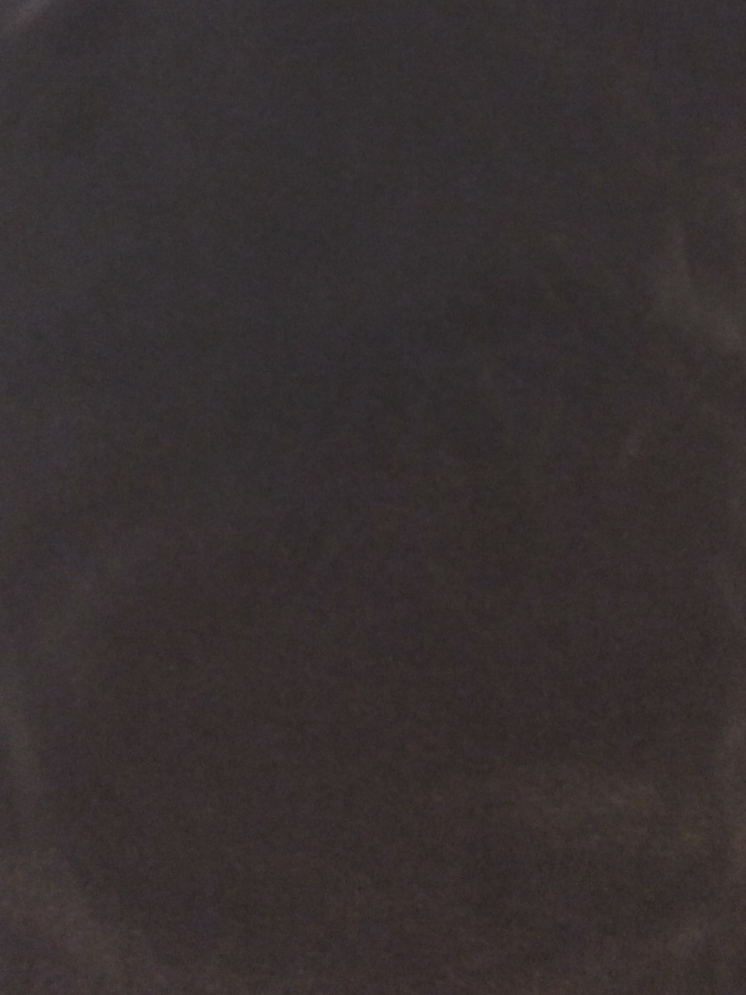 Polyester Taffeta Black