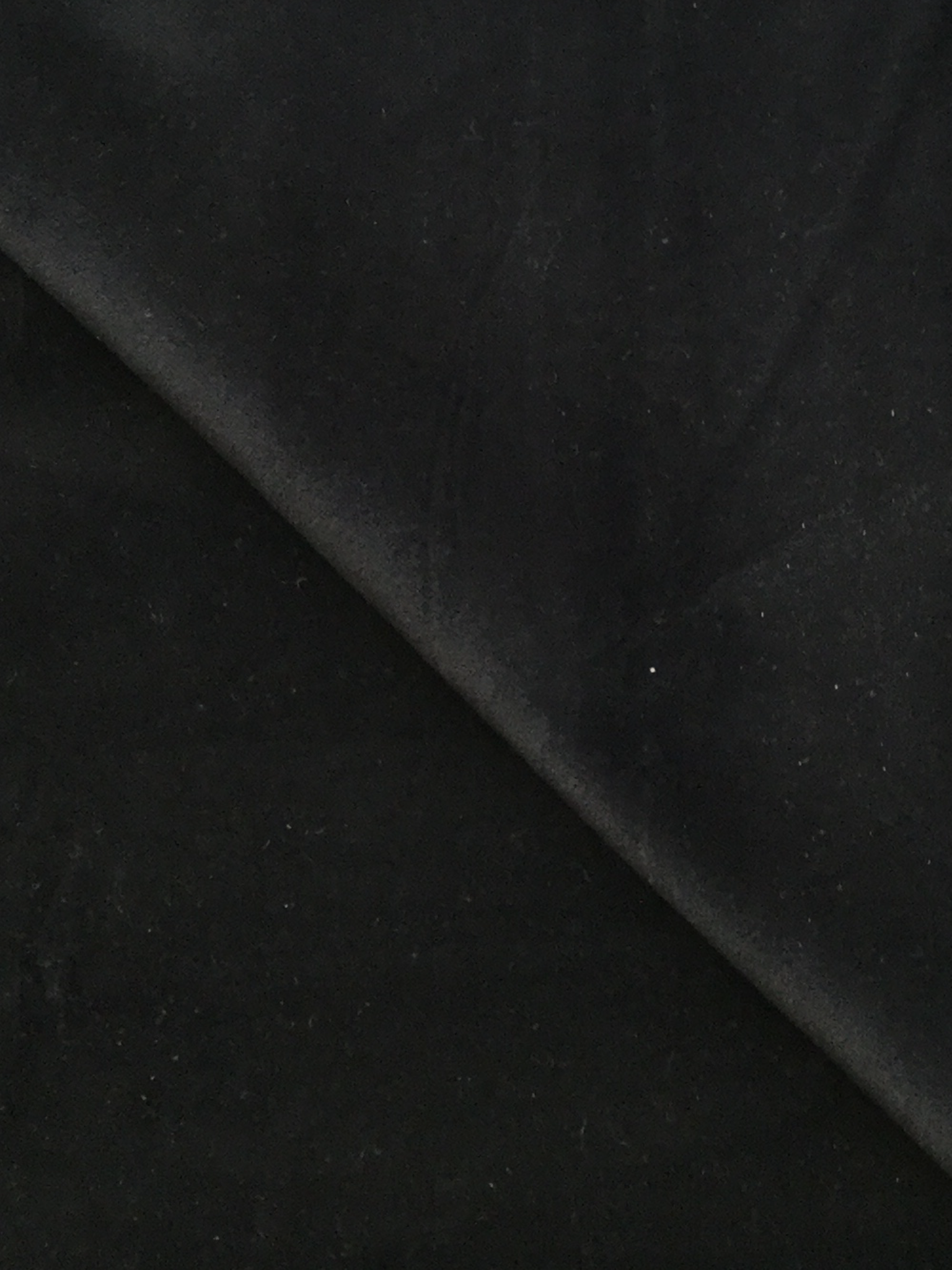 Pure Cotton Velvet in Black