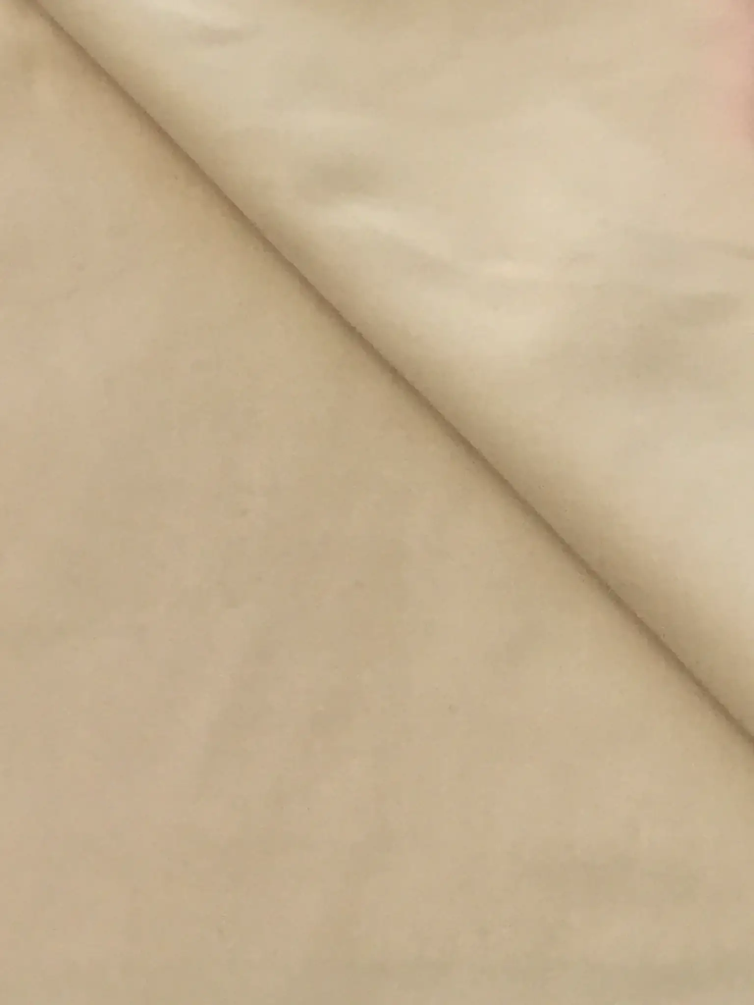 Pure Cotton Velvet in Oyster