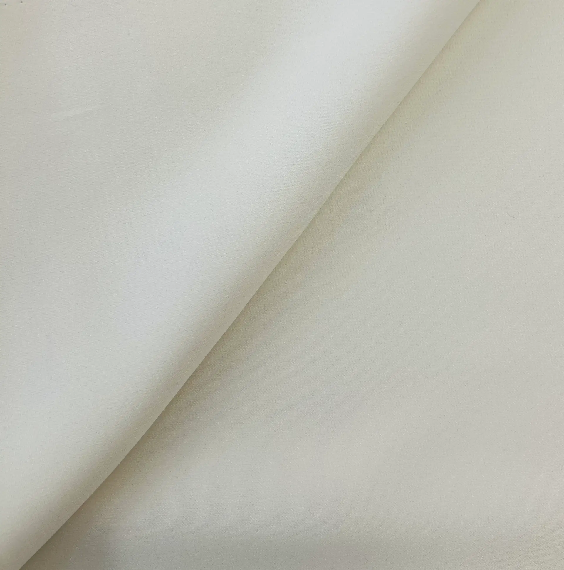 Silk Sponge Georgette In Ivory