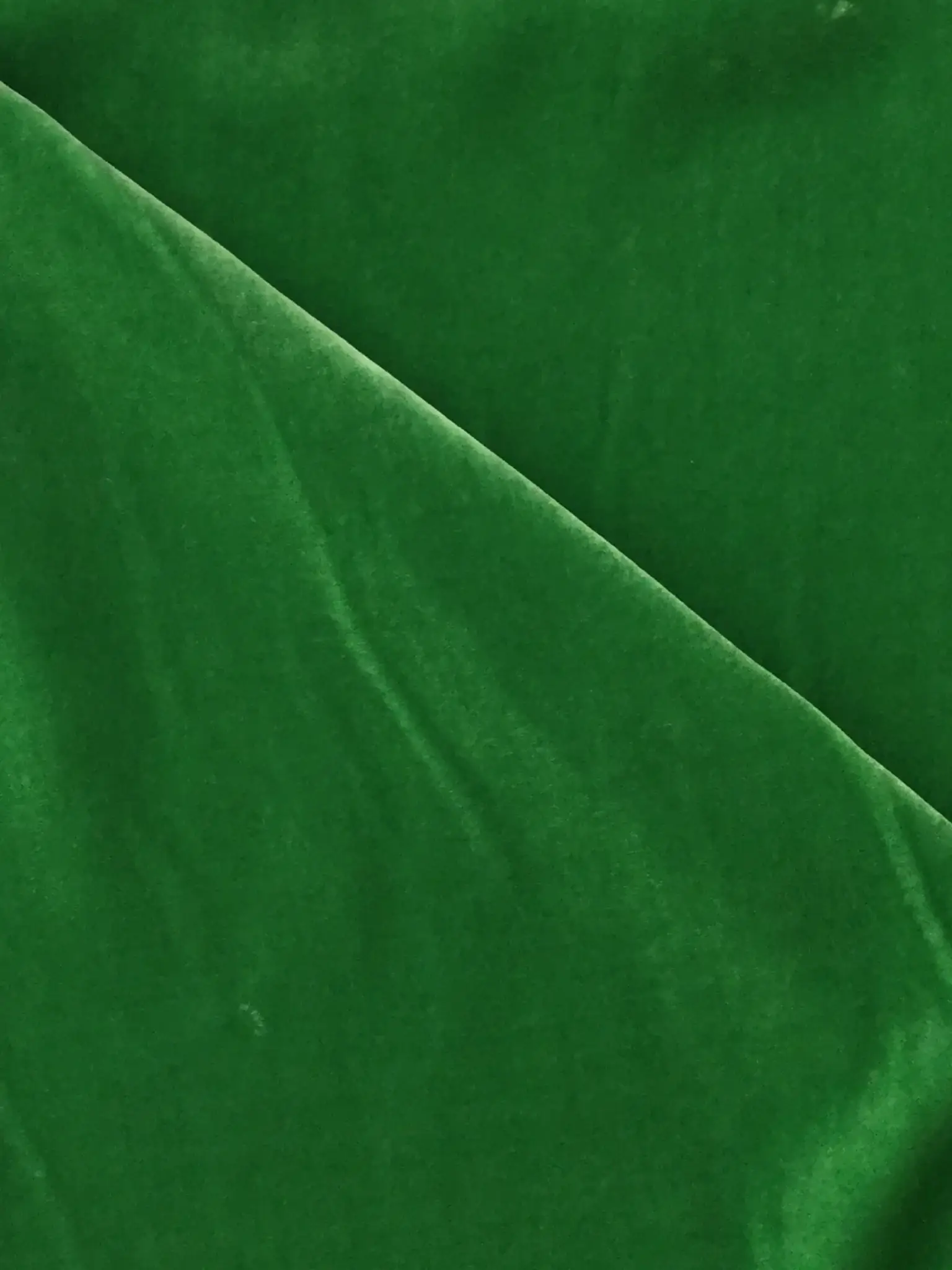 Silk and Rayon Velvet in Kelly