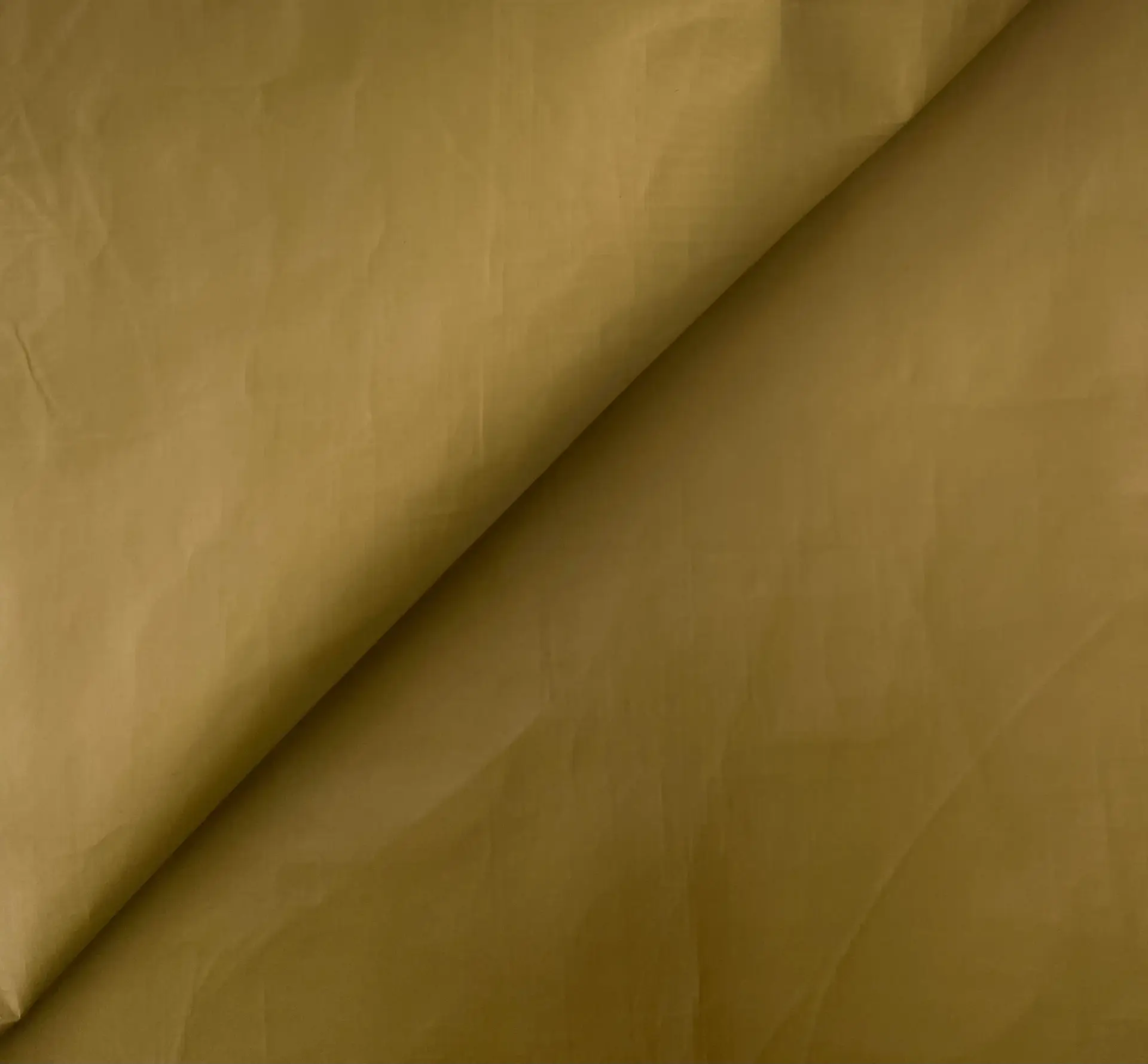 Tyvek in Camel