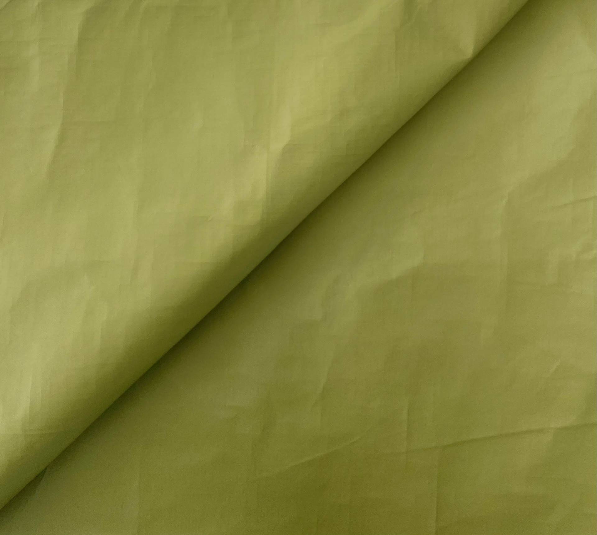 Tyvek in Pea Green