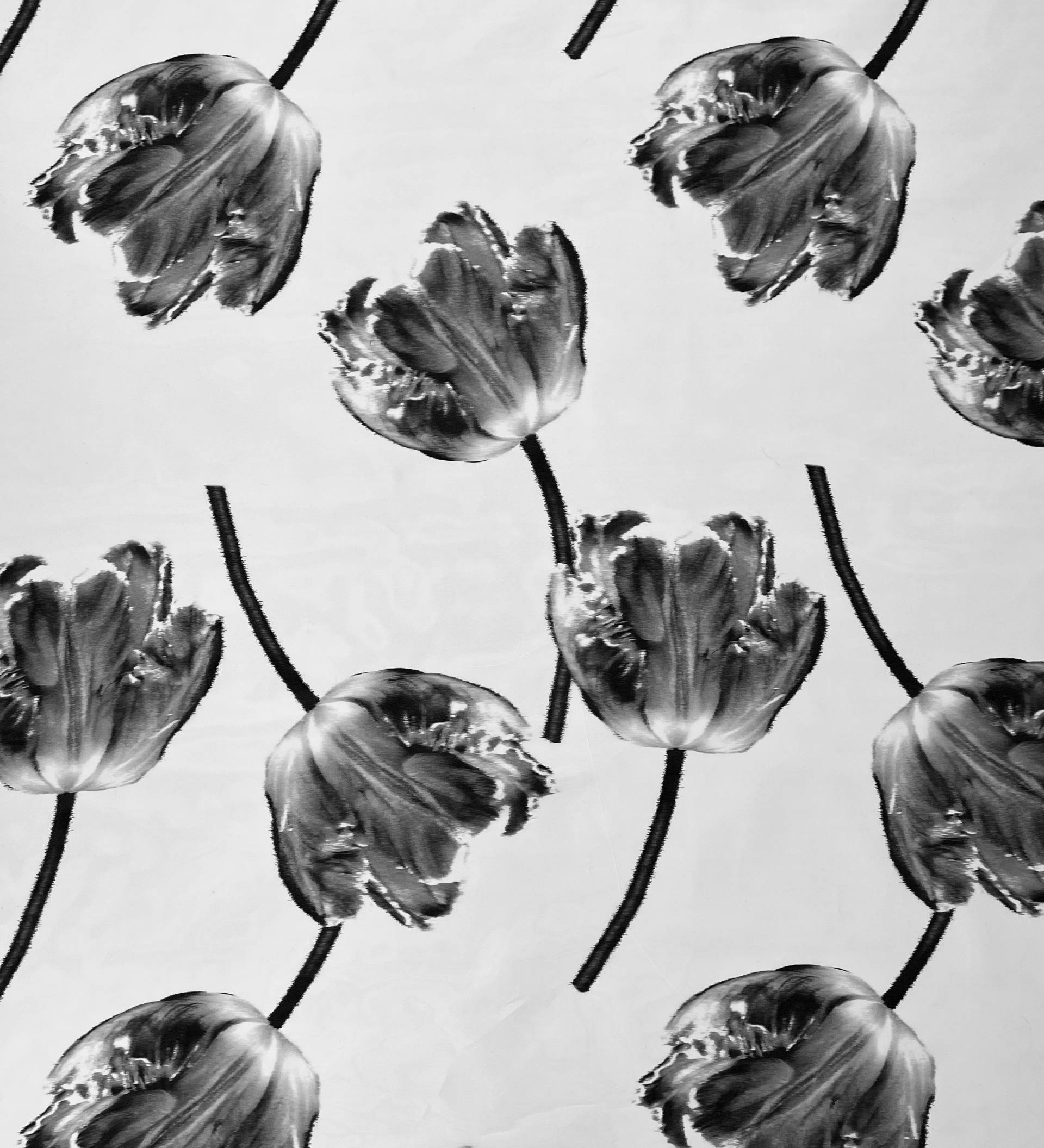 Made In Italy Printed silk Organza