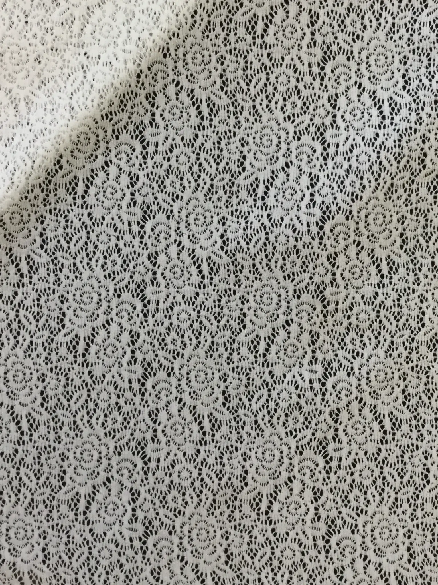 Novelty Stretch Lace in White