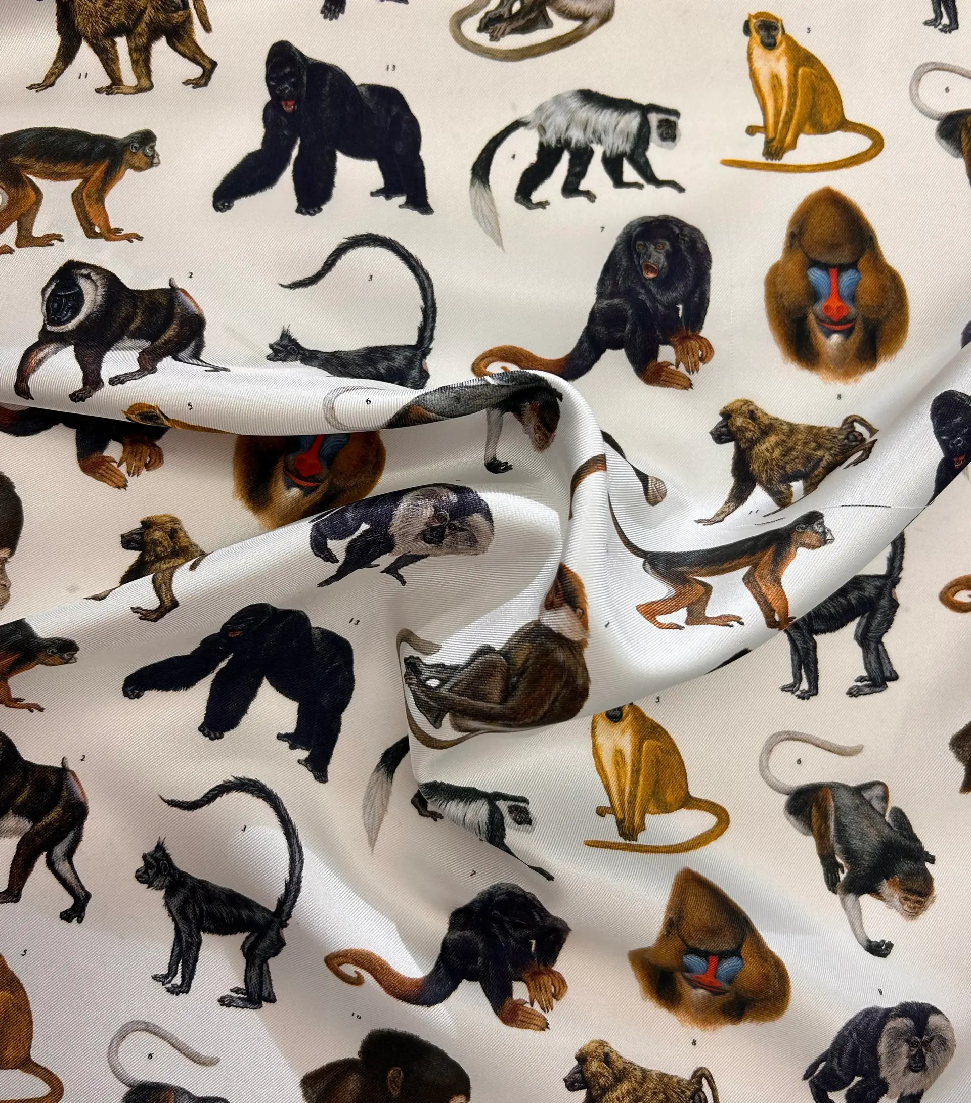 Printed Silk Twill with Various Primates 