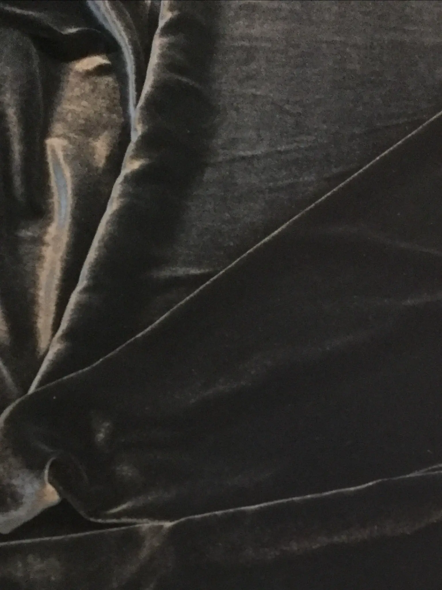 Silk Rayon Velvet in Black