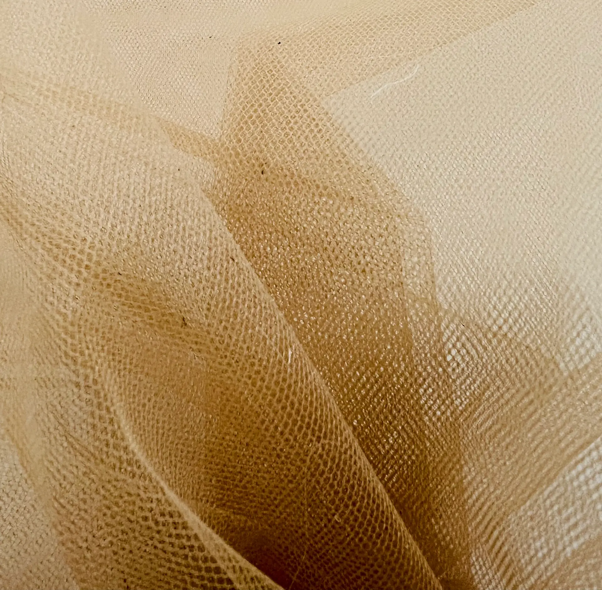 Italian Tutu Tulle in Carne