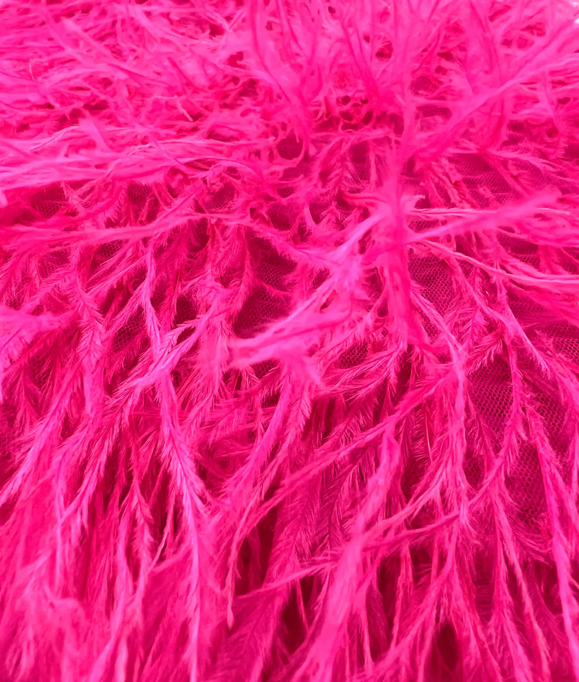 Hand Applied Ostrich Feather in Fuchsia 