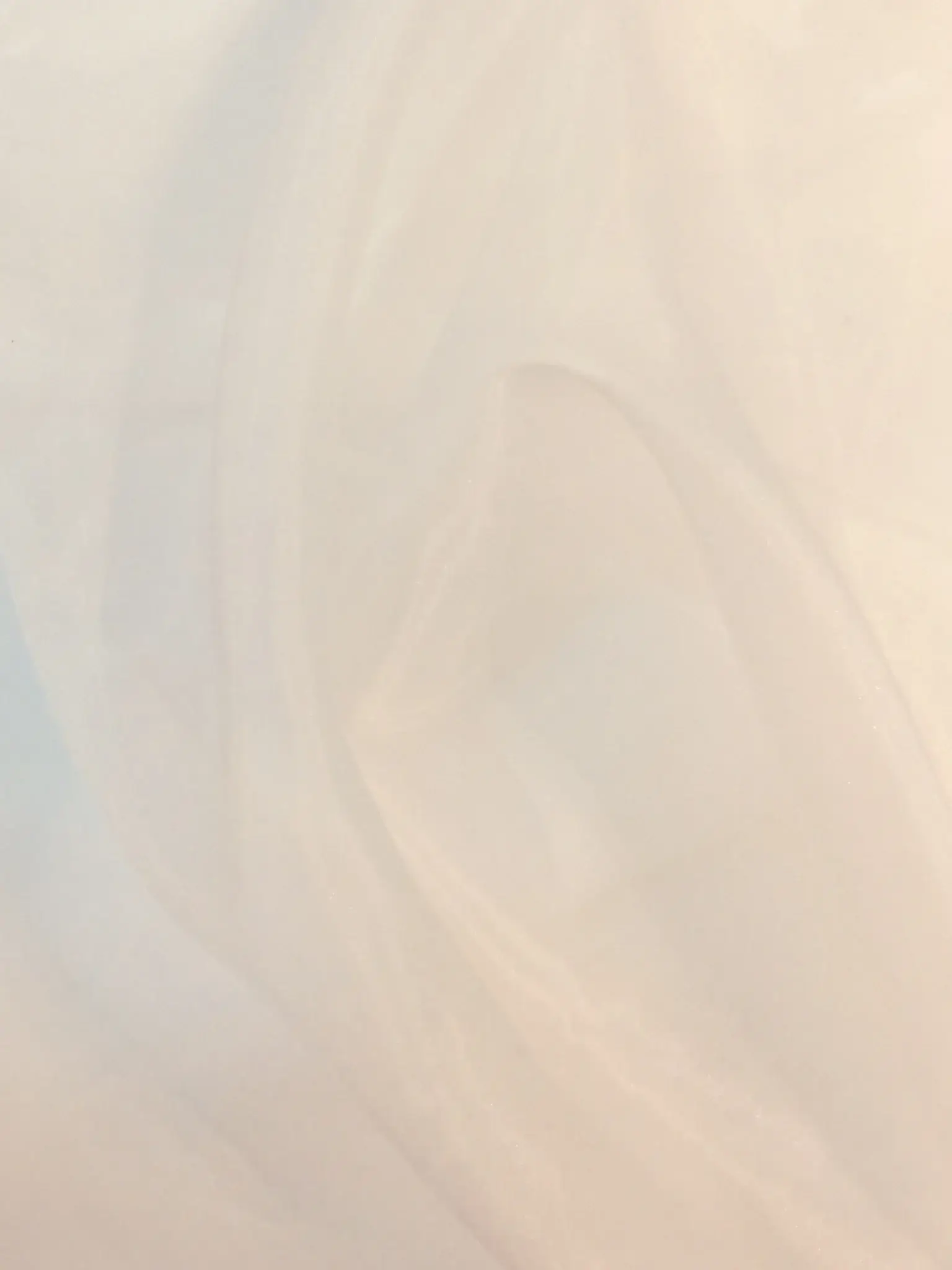 Polyester Organza in Off White