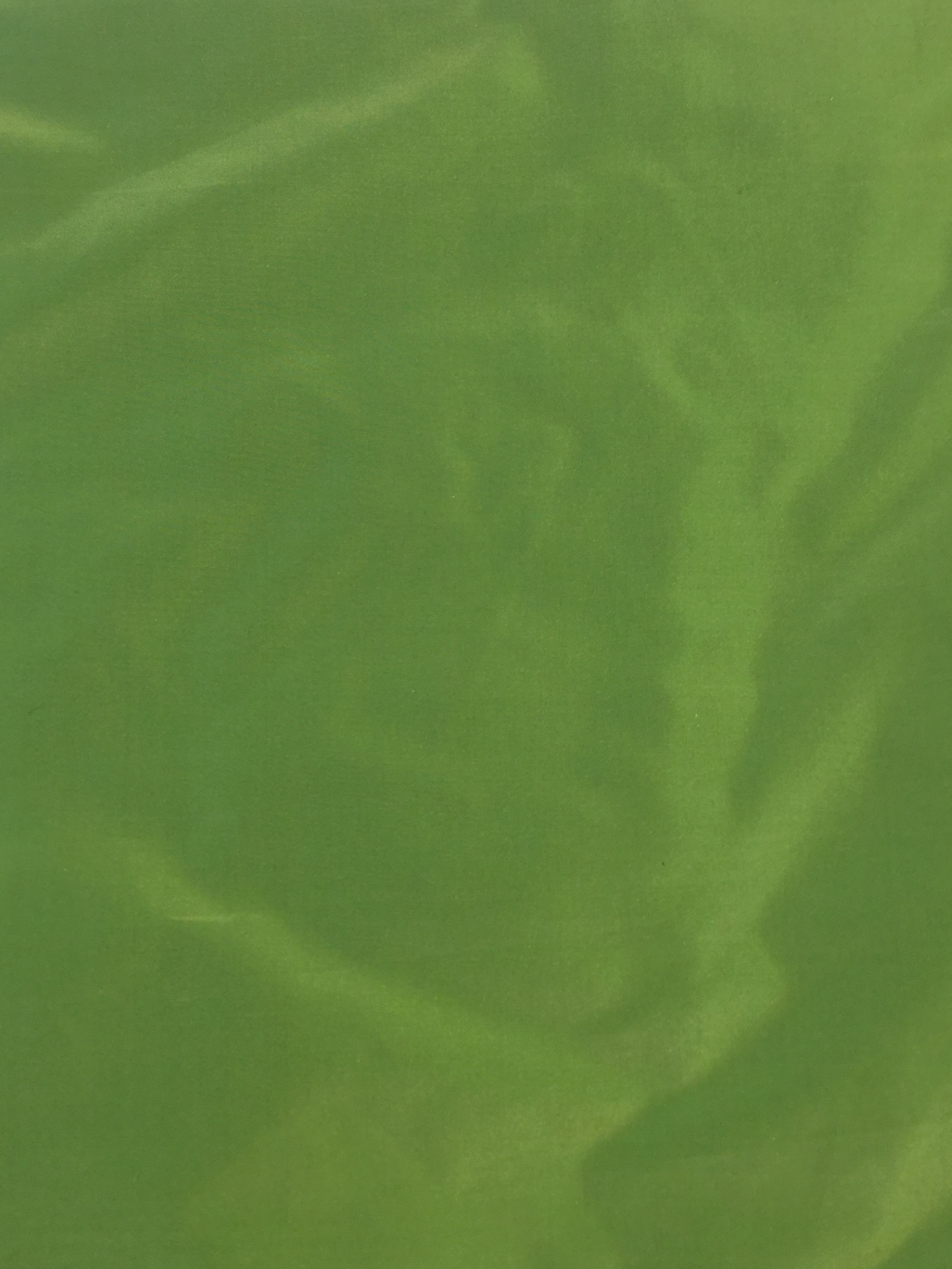 Iridescent Silk Taffeta in Green/Yellow