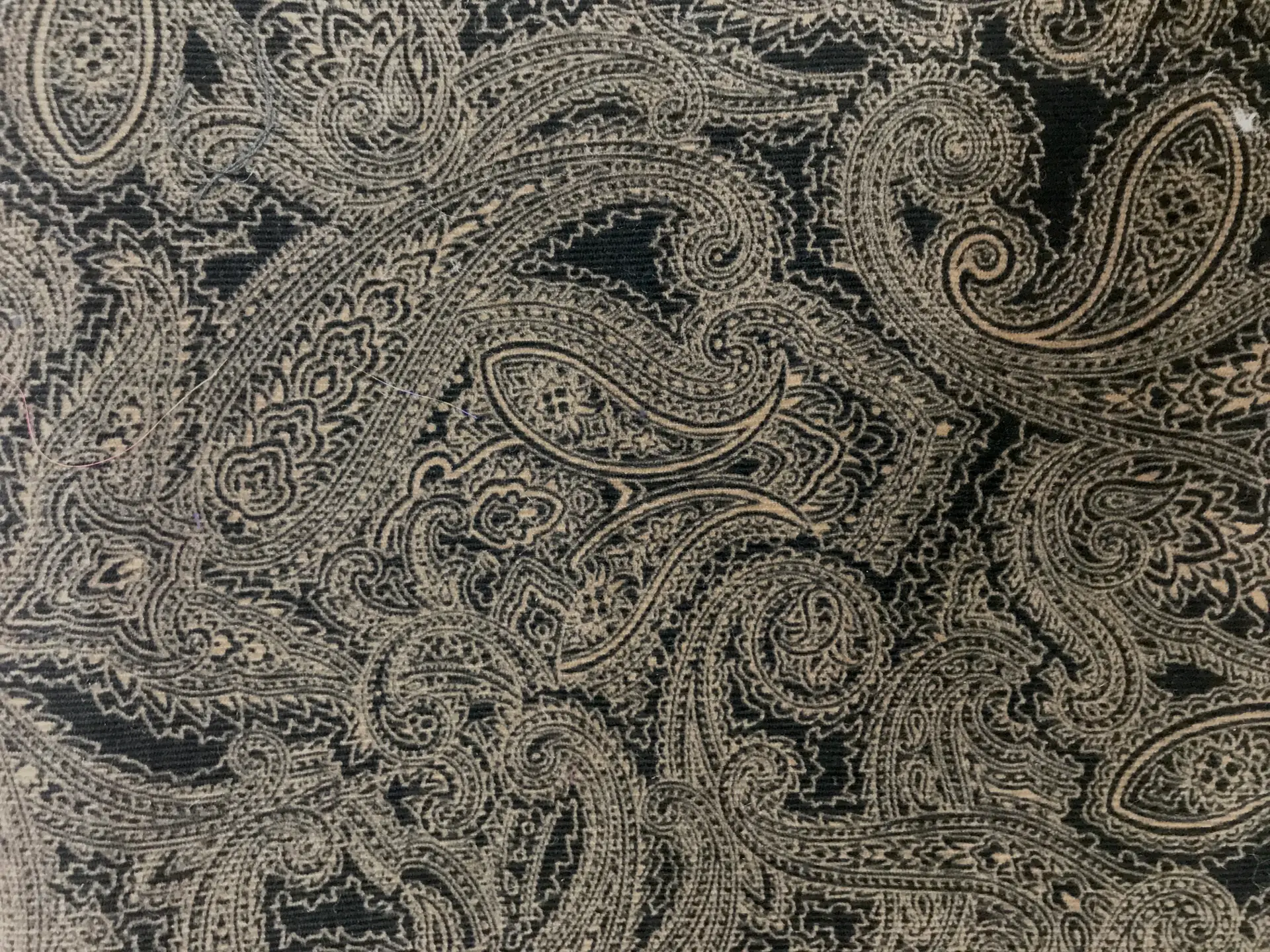 Printed Stretch Cotton Velvet with Paisley Patterns