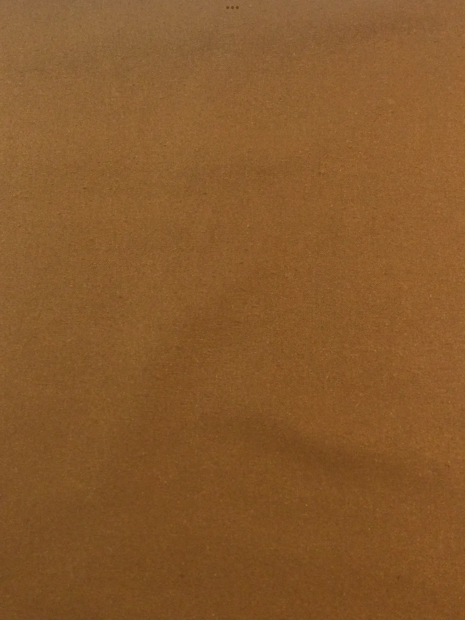 Silk Noil in Caramel