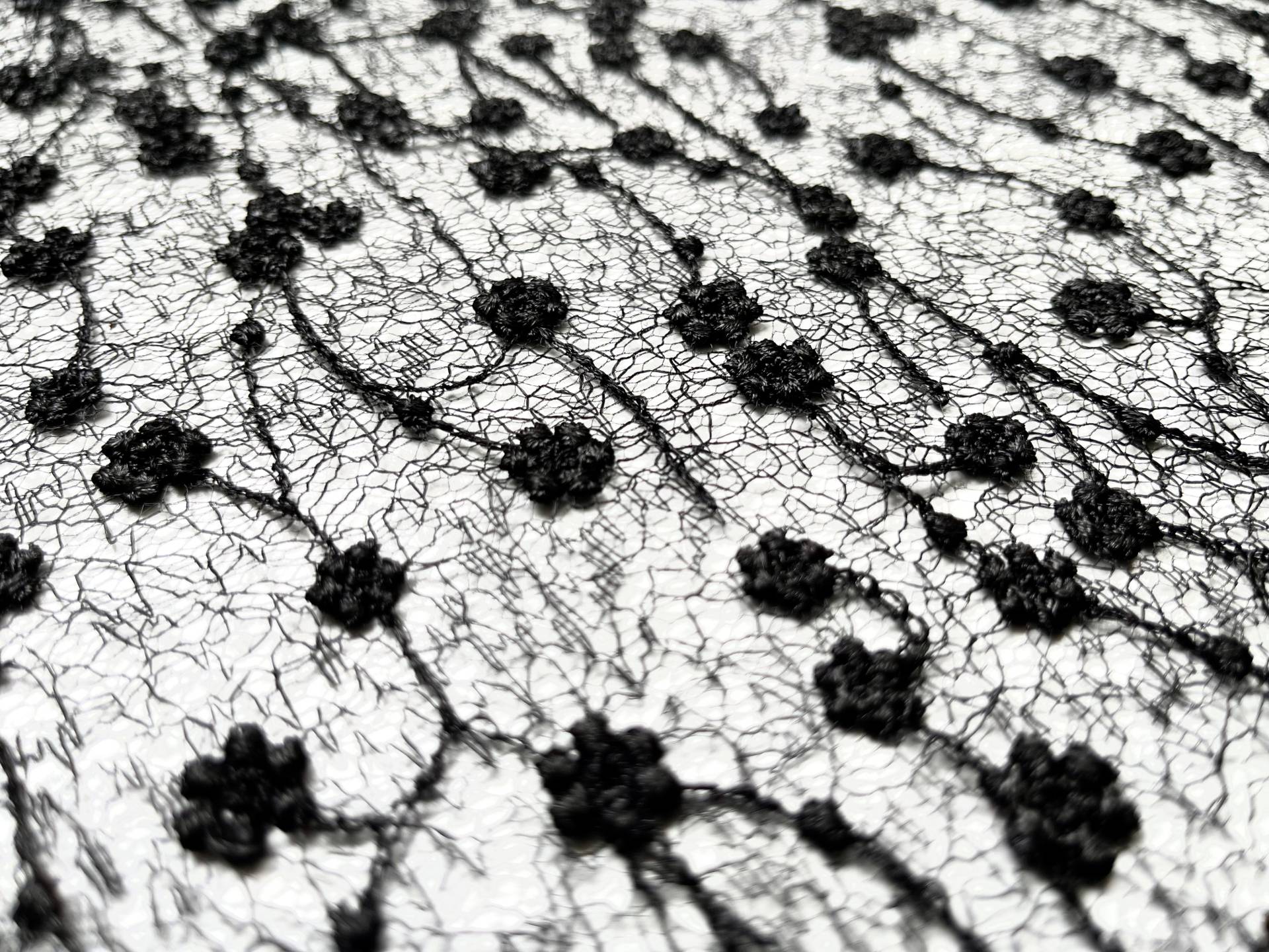 Embroidered Novelty Net in Black