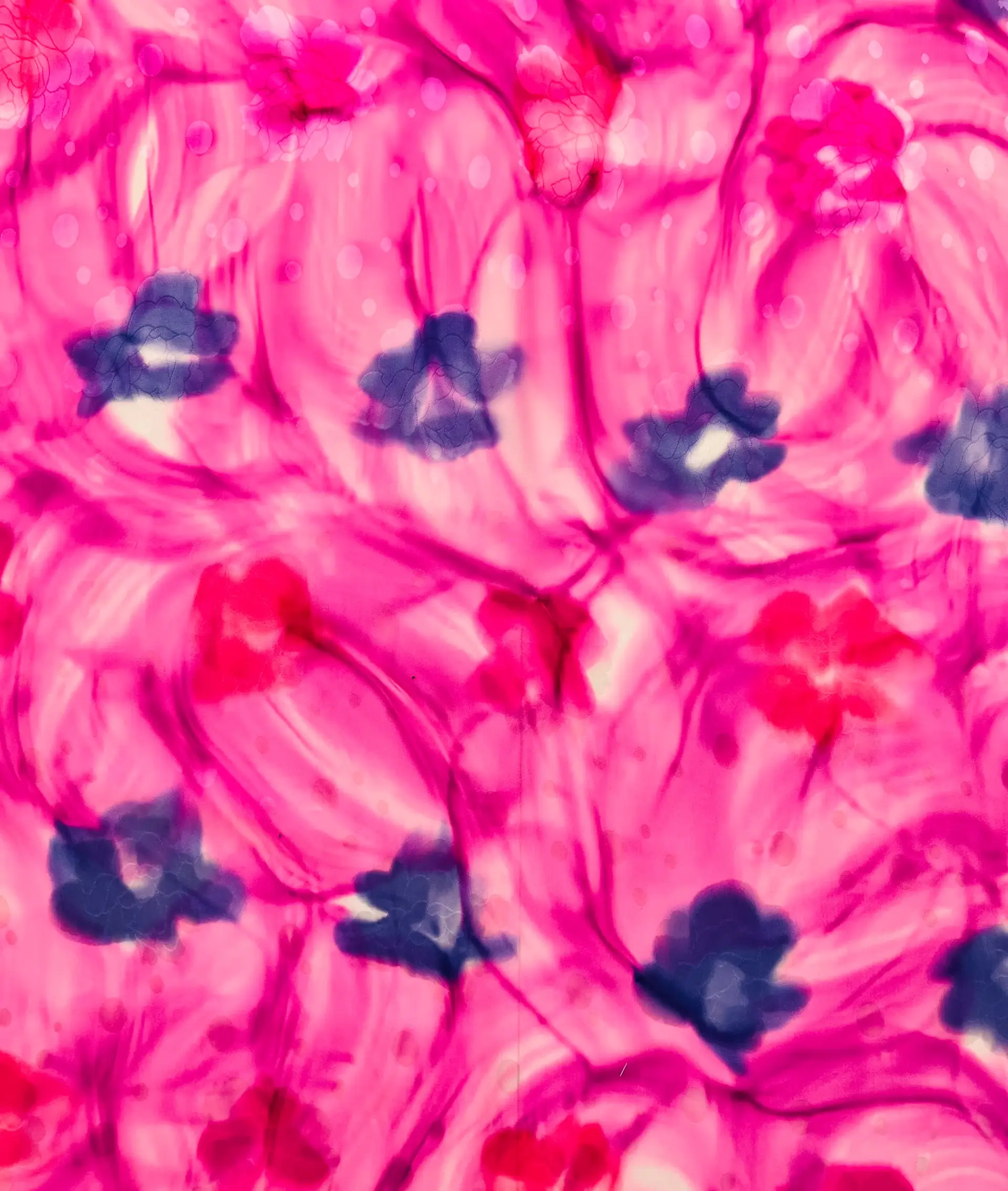 Printed Silk Charmeuse Jacquard