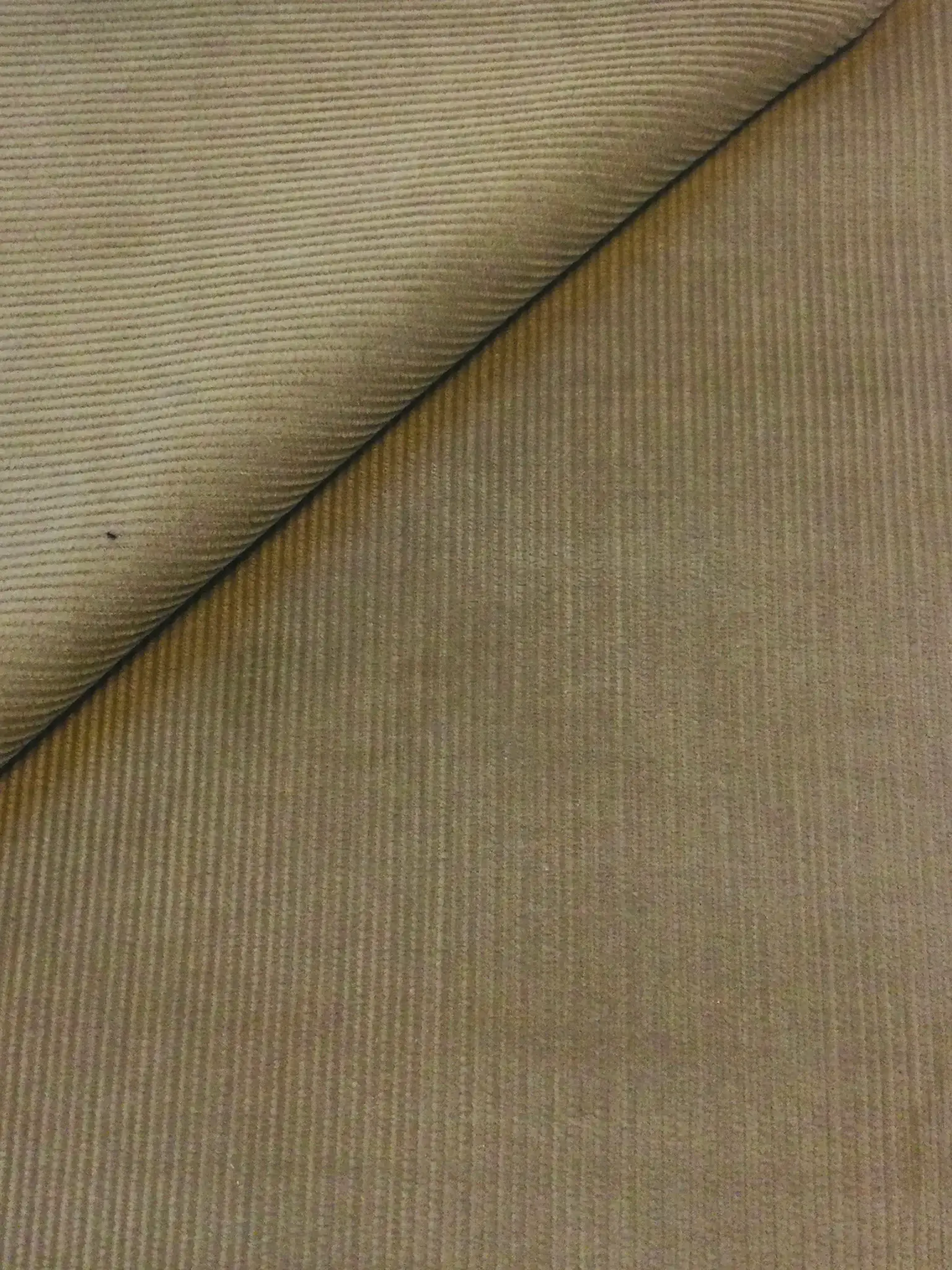 Cotton 12 Wale Corduroy in Tan