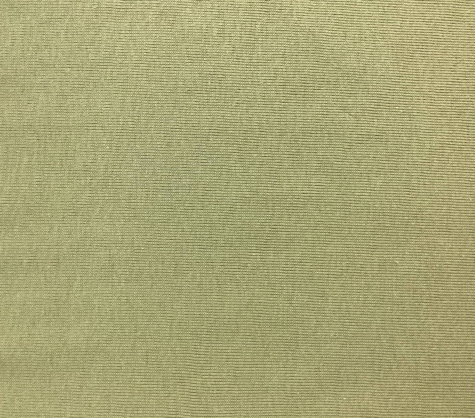 Cotton Rib Knit in Celery