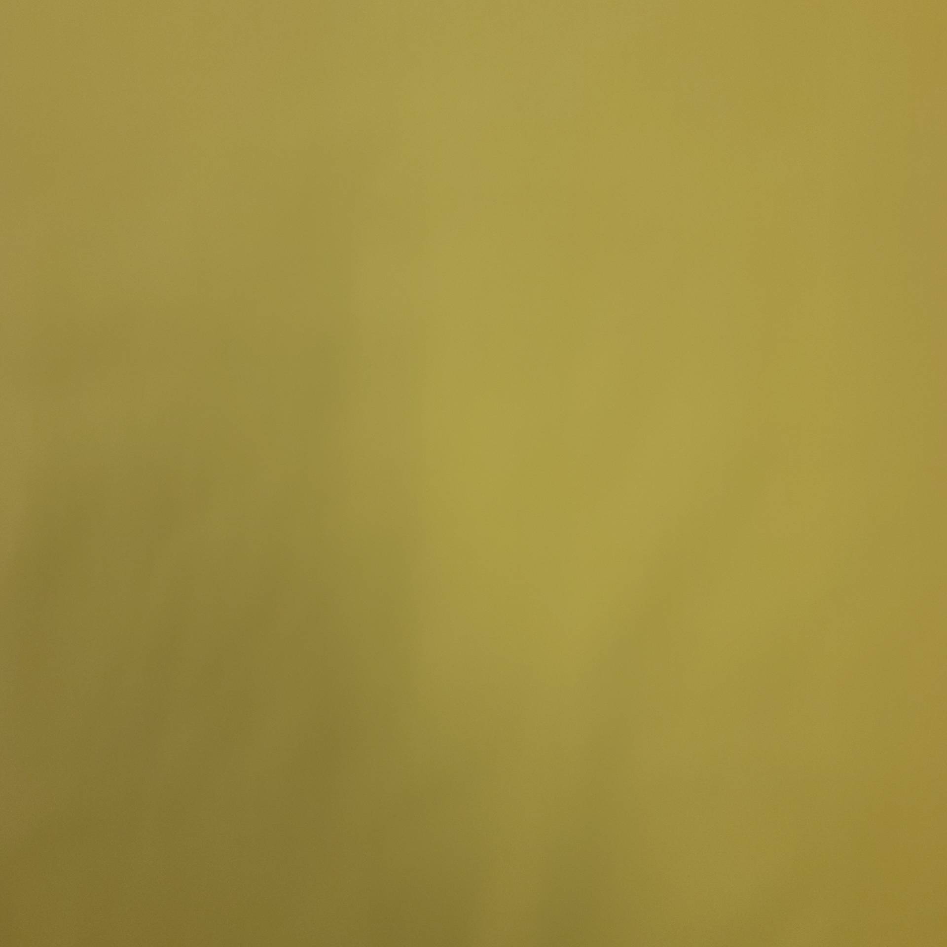 Poly Cotton Blend Broadcloth in Citrus