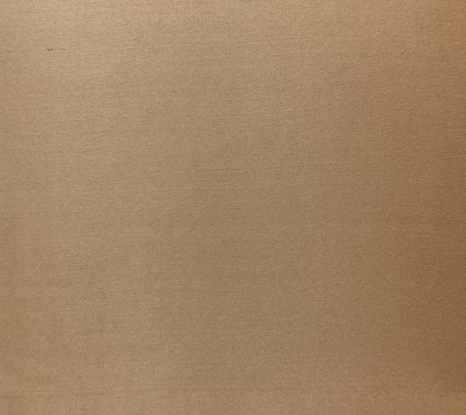 100% Silk Sueded Charmeuse In Cappuccino 
