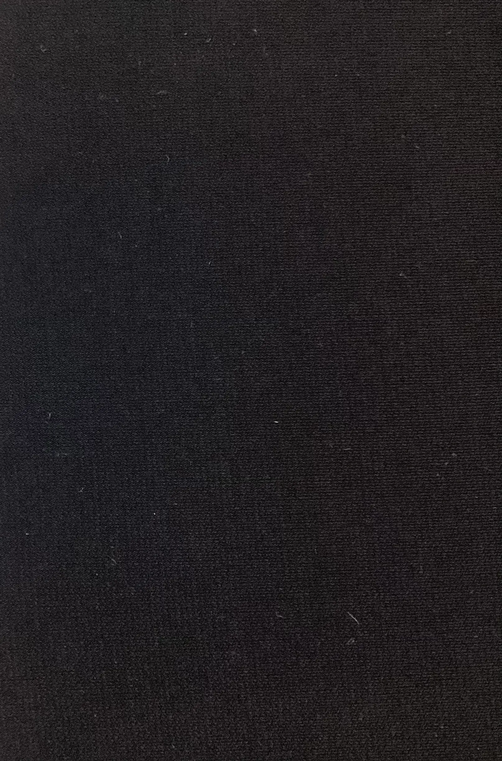 Poly Lycra Jersey In Black