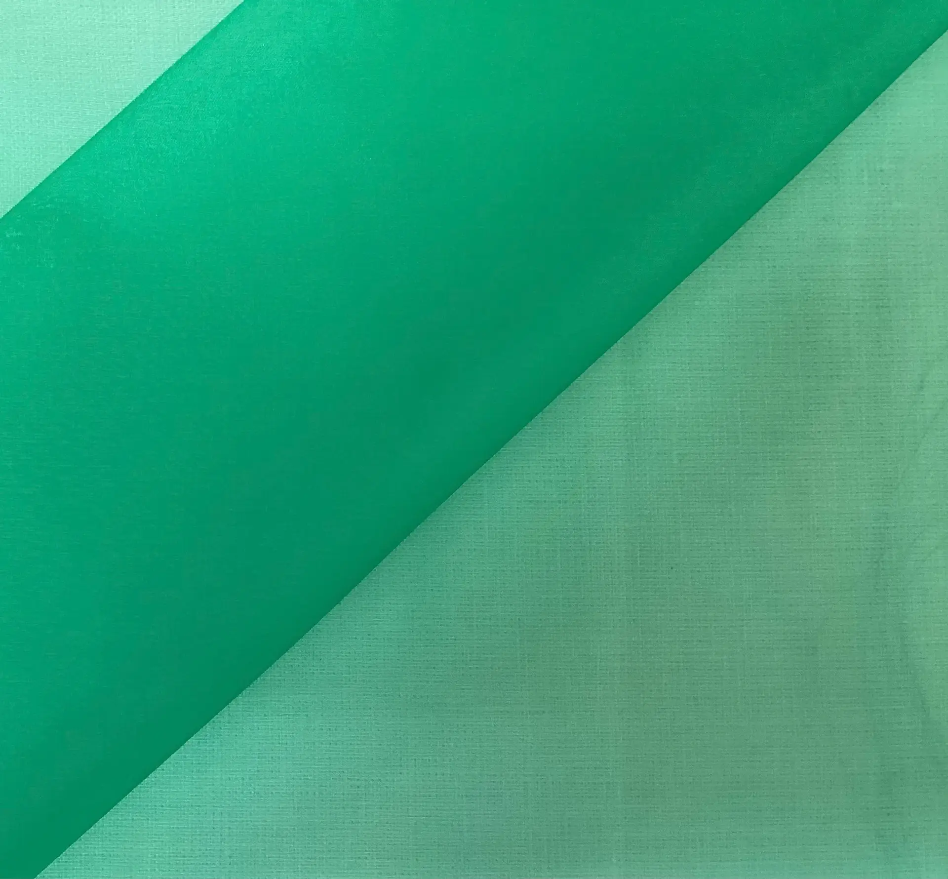 100% Silk Organza In Kelly Green