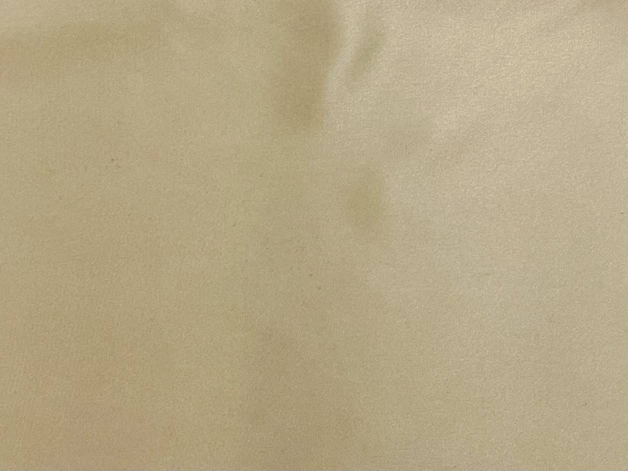 Silk Charmeuse in Champagne