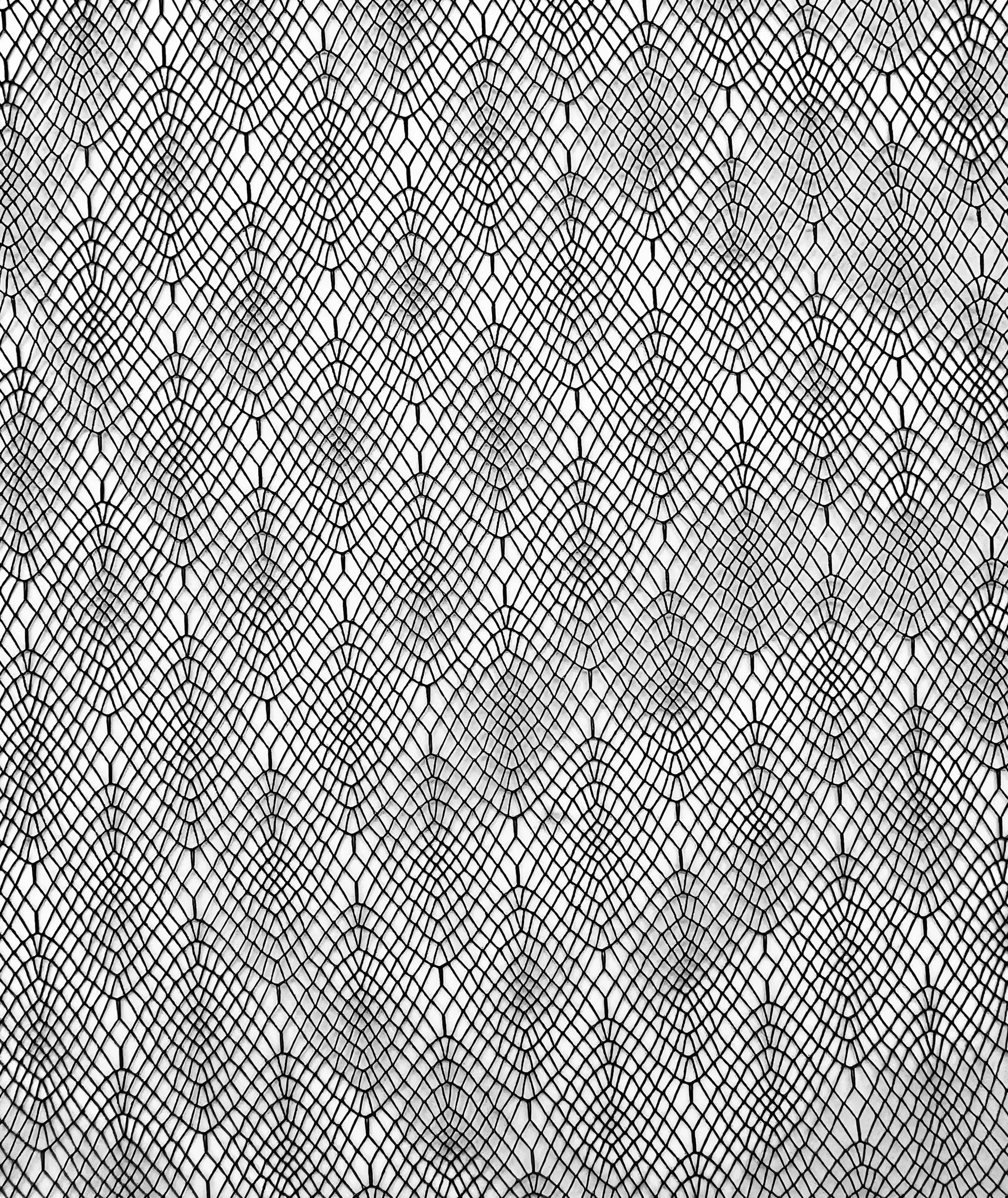 Novelty Illusion in Black