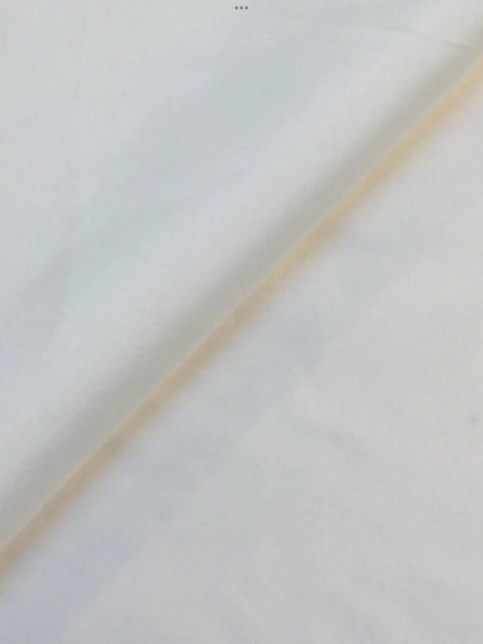 Stretch Taffeta in Diamond White