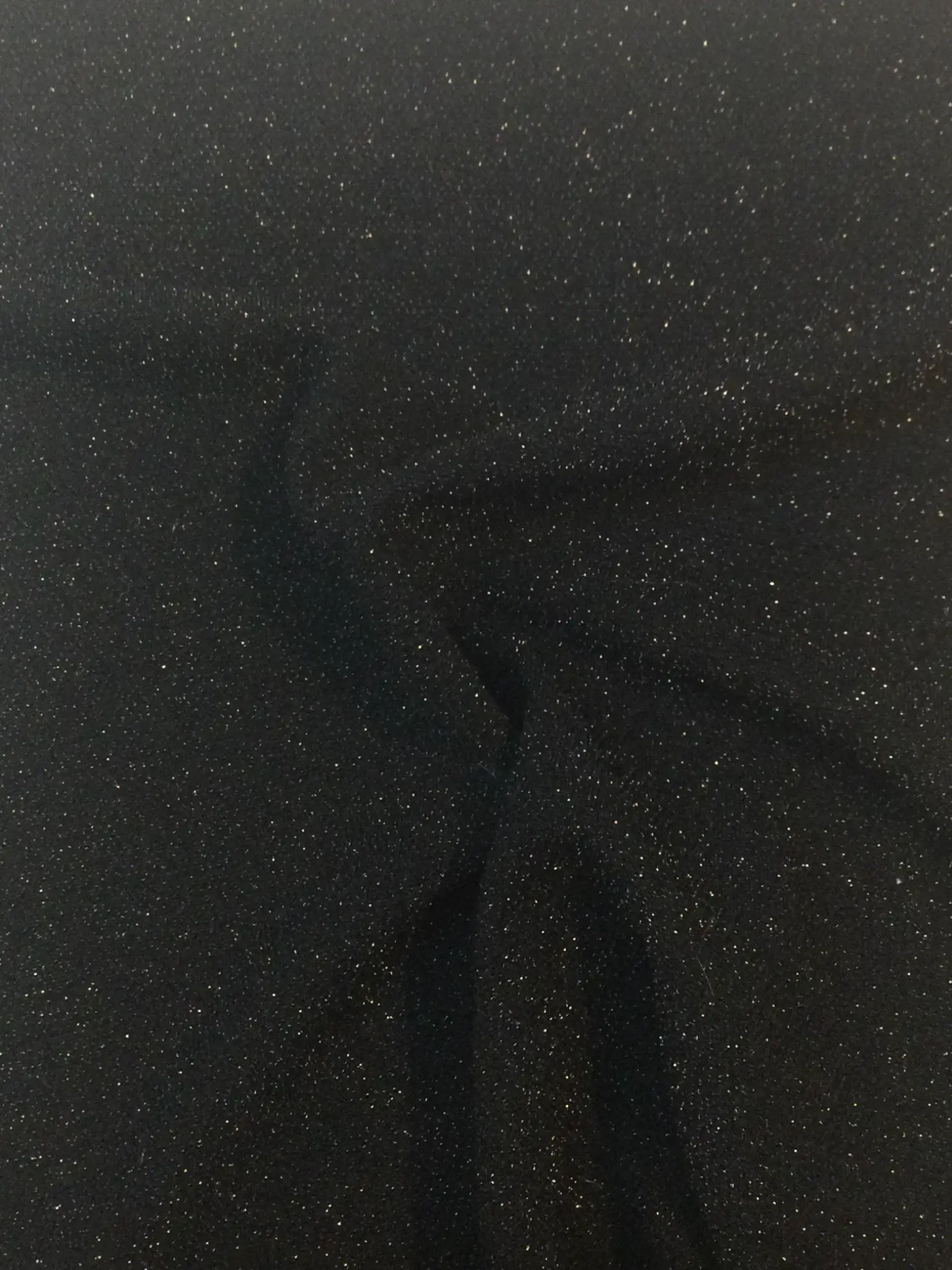 Nylon Blend Jersey Lame' in Black