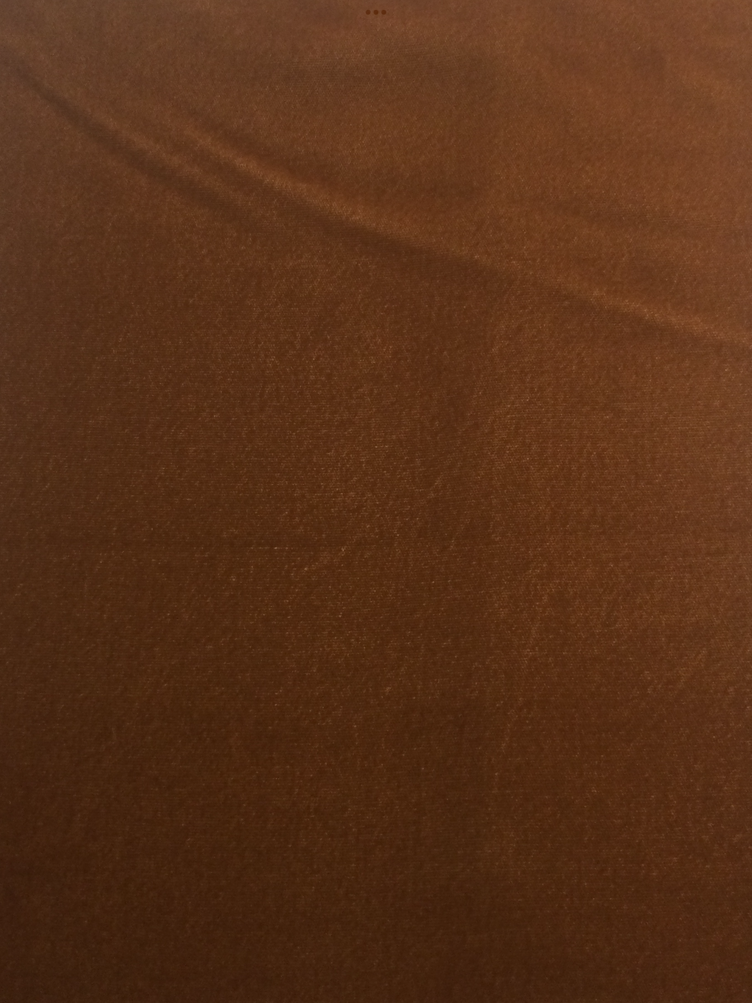Rayon Velvet in Chestnut