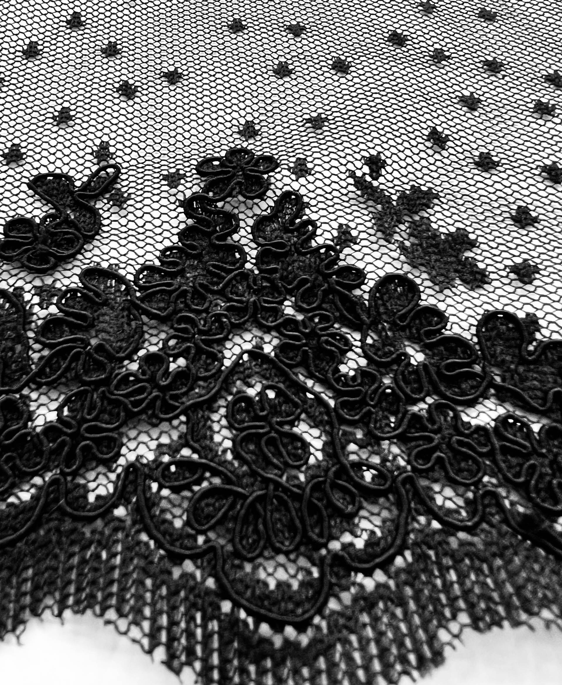 Embroidered Dotted Tulle in Black Double Scallops