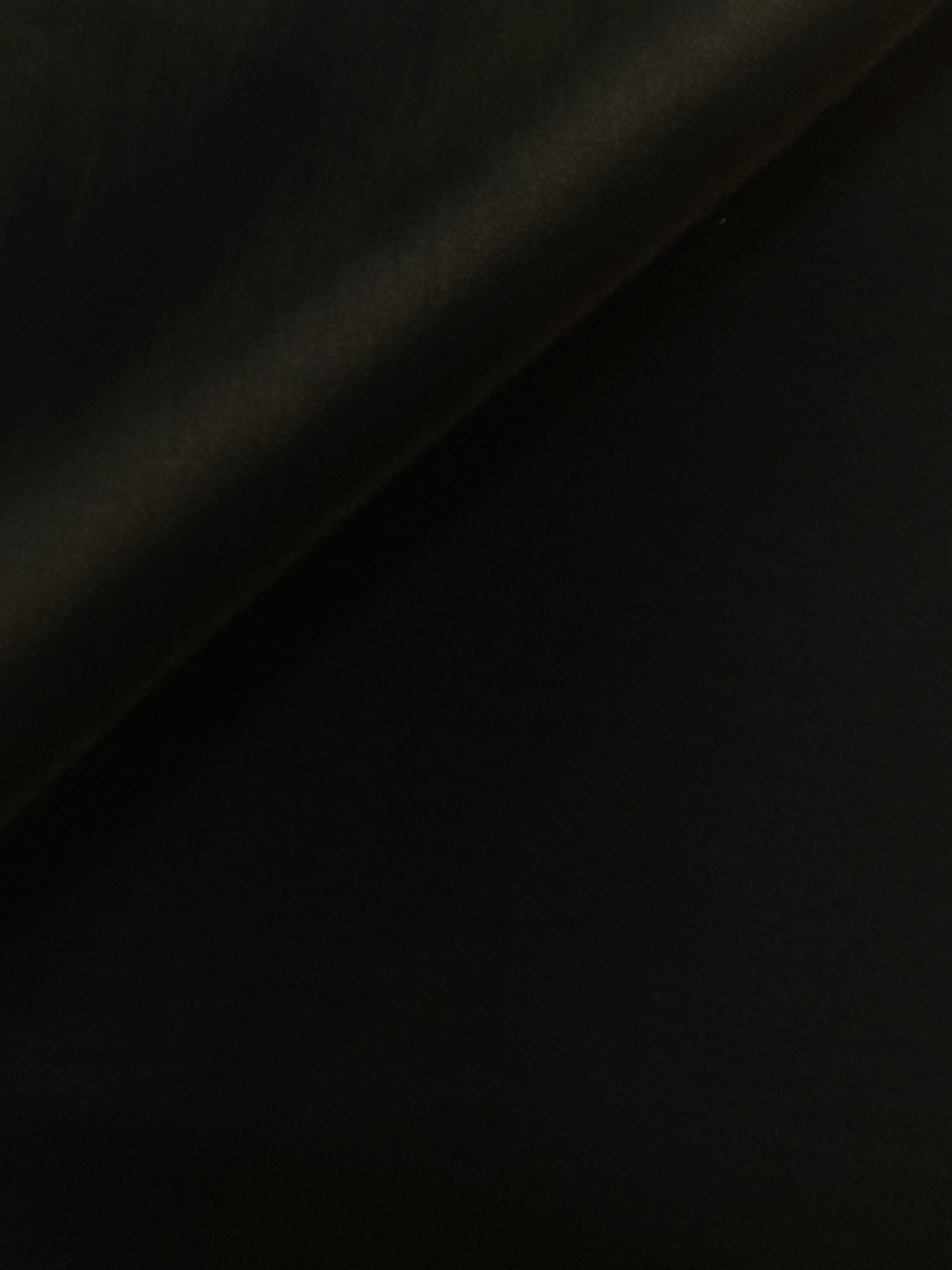 Two Tone Nylon and Polyester Blend Taffeta in Black