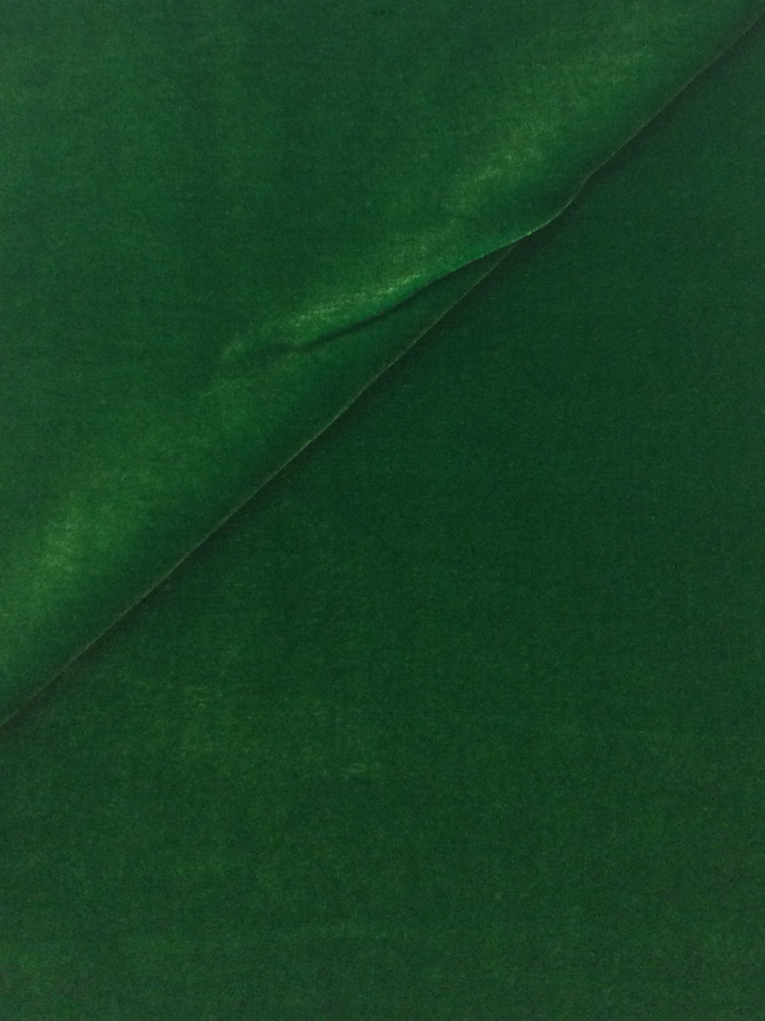 Silk and Rayon Velvet in Emerald Green