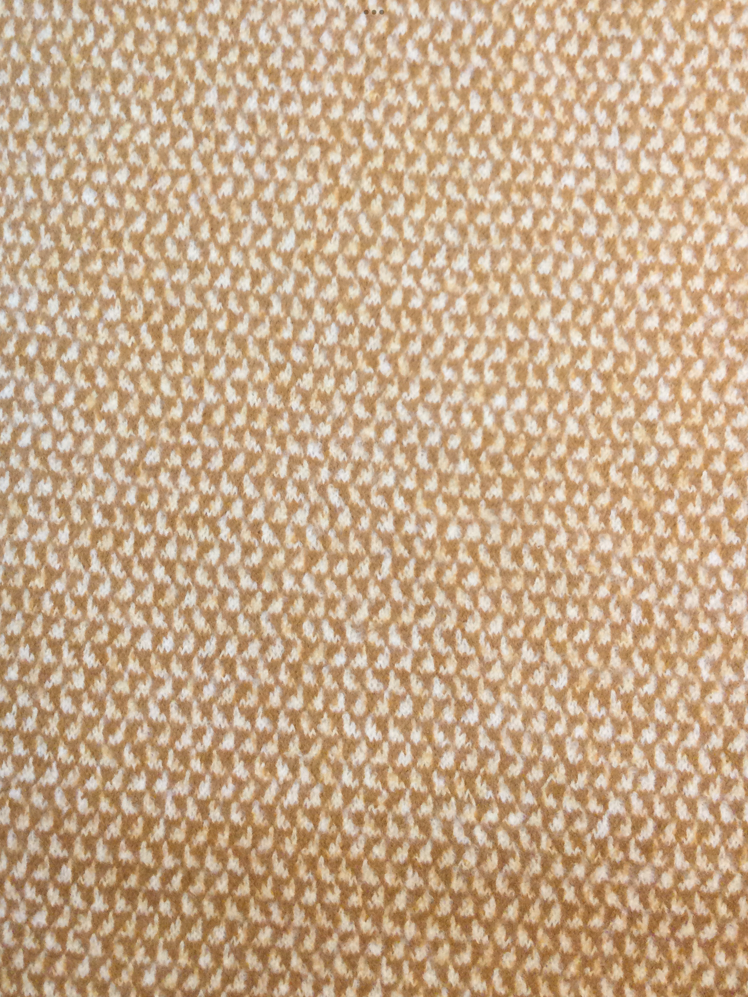 Wool/Cashmere Knit in Tan and Off White